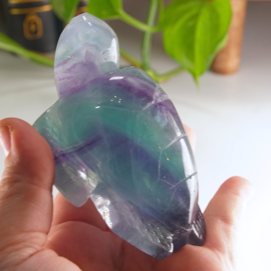Rainbow Fluorite Turtle Carving | Pick Your Favorite