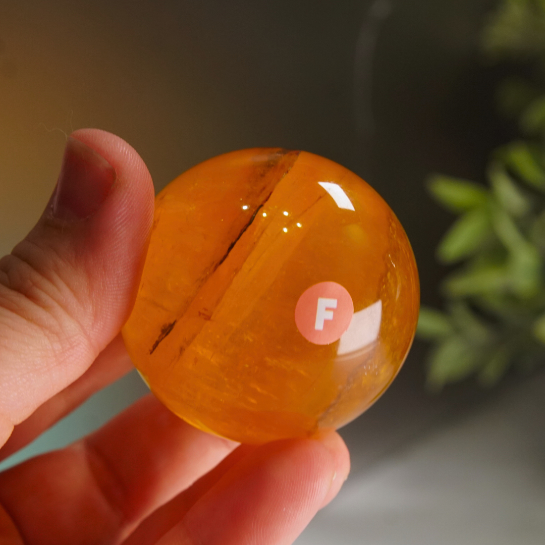 Yellow Fluorite With Mica Sphere | High Quality Glassy Fluorite (F)