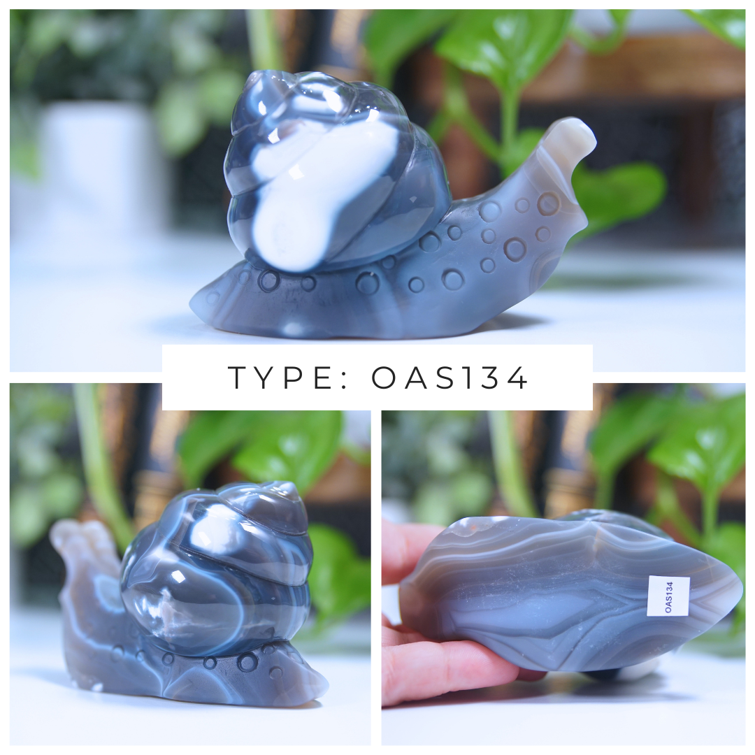 Orca Agate Snails Boutique Carvings