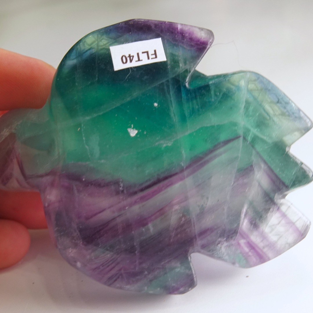 Rainbow Fluorite Turtle Carving | Pick Your Favorite