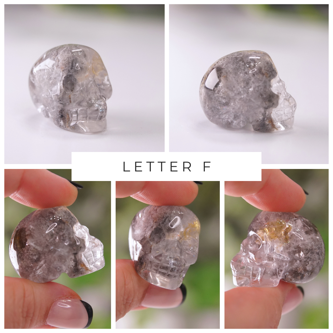 Garden Quartz Skulls Lodolite With Inclusions Crystal Carving (Mini)