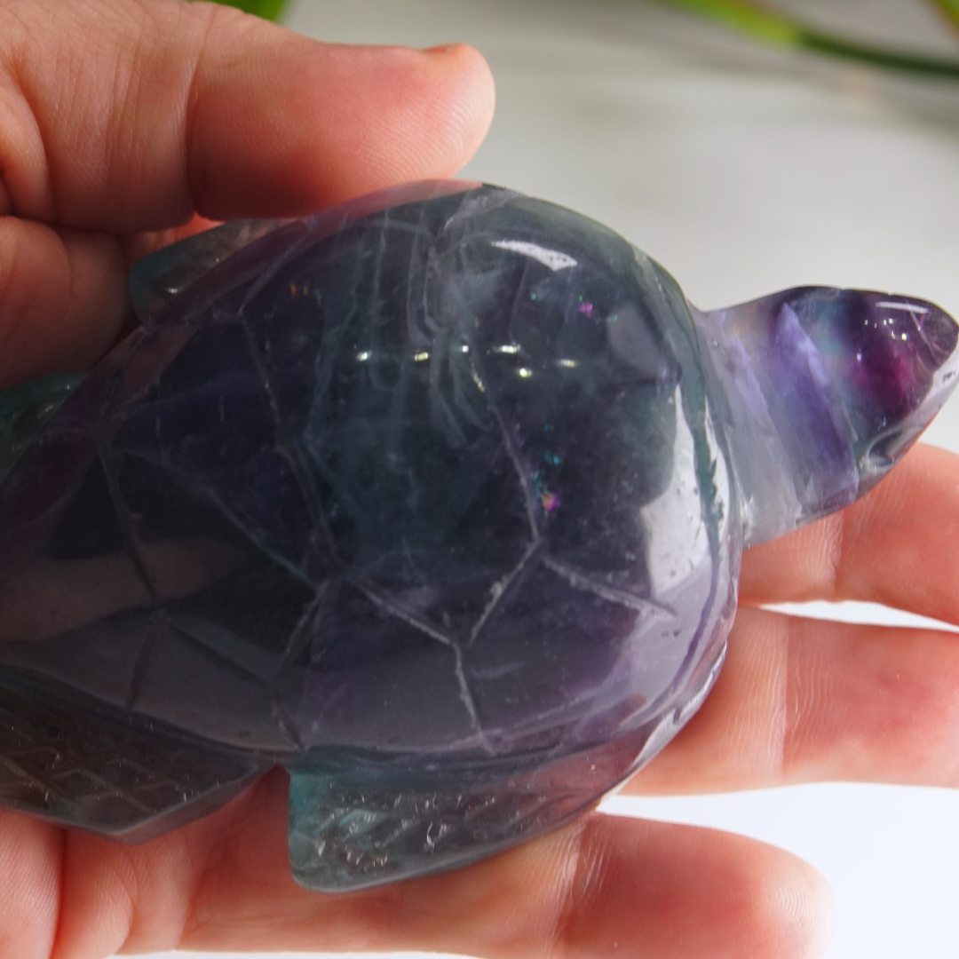 Rainbow Fluorite Turtle Carving | Pick Your Favorite