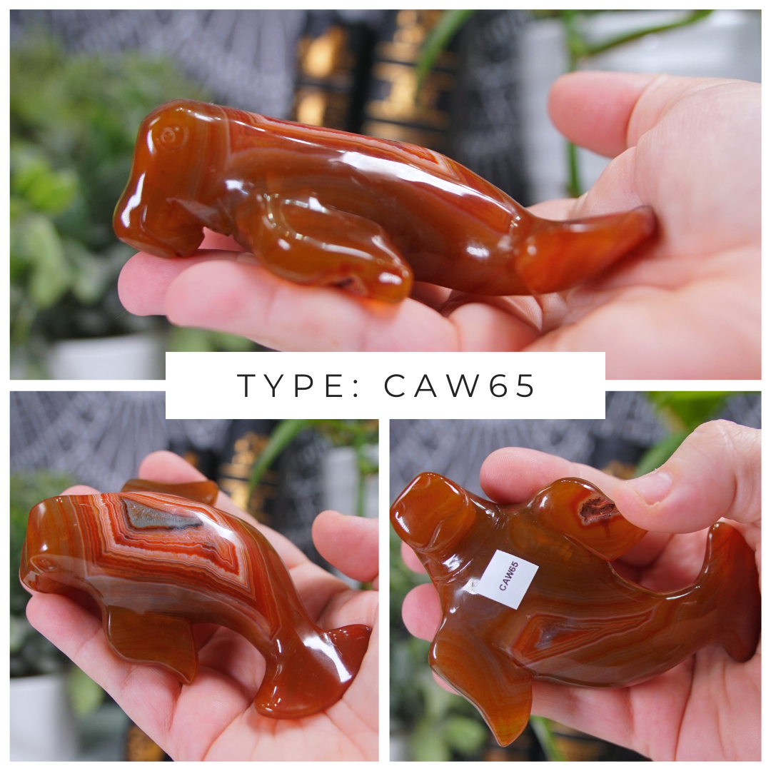 Carnelian Manatee Boutique Carvings