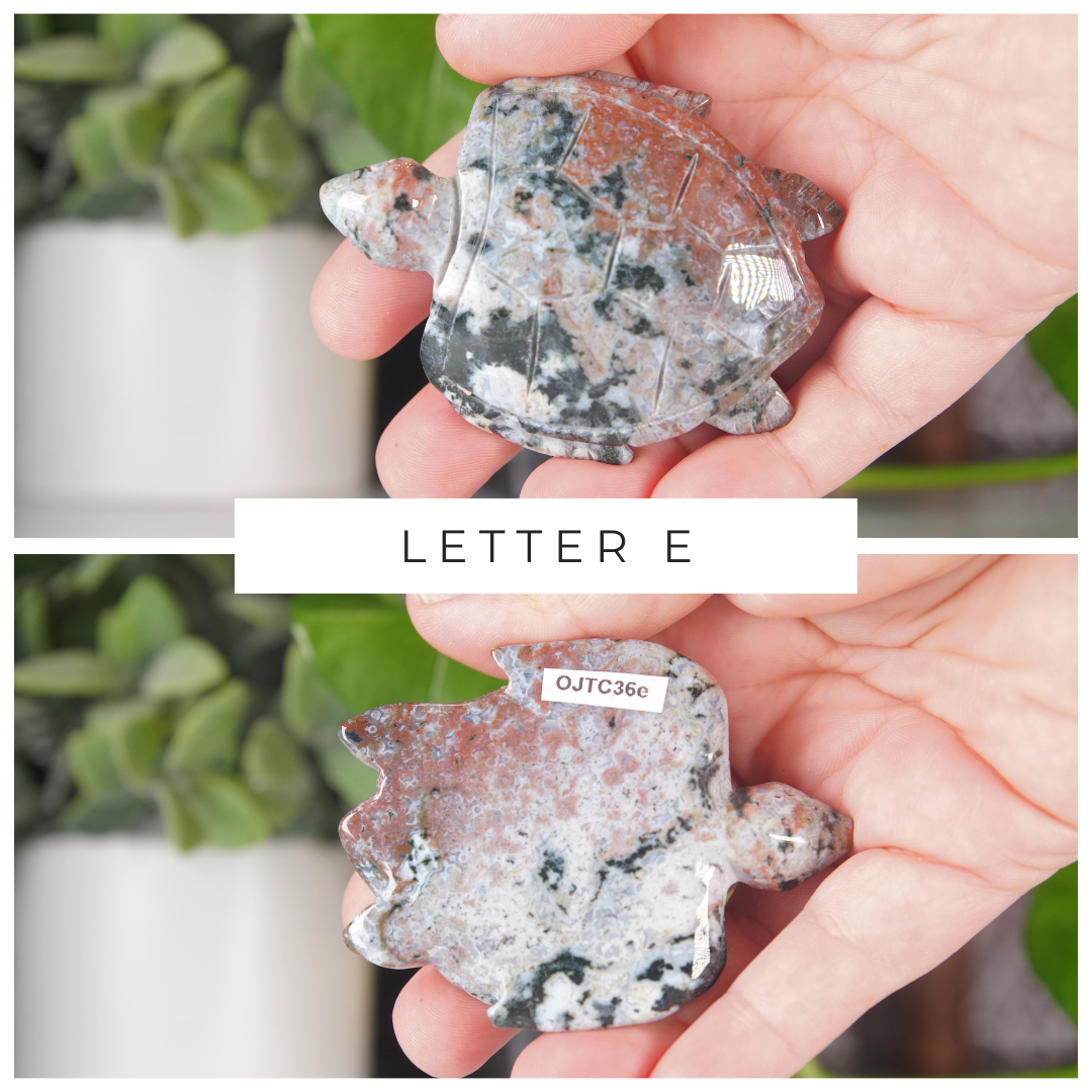 Ocean Jasper Hand Carved Small Sea Turtles | Pick Your Favorite