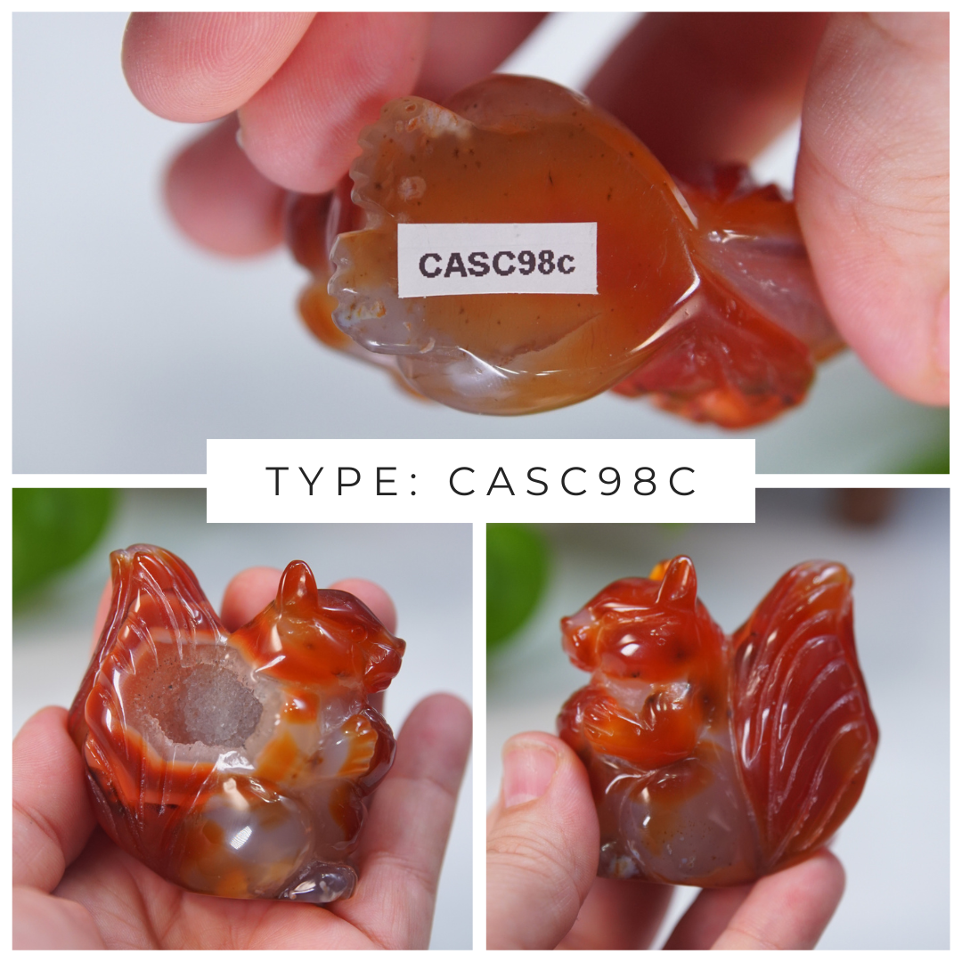 Druzy Carnelian Squirrel Boutique Carvings
