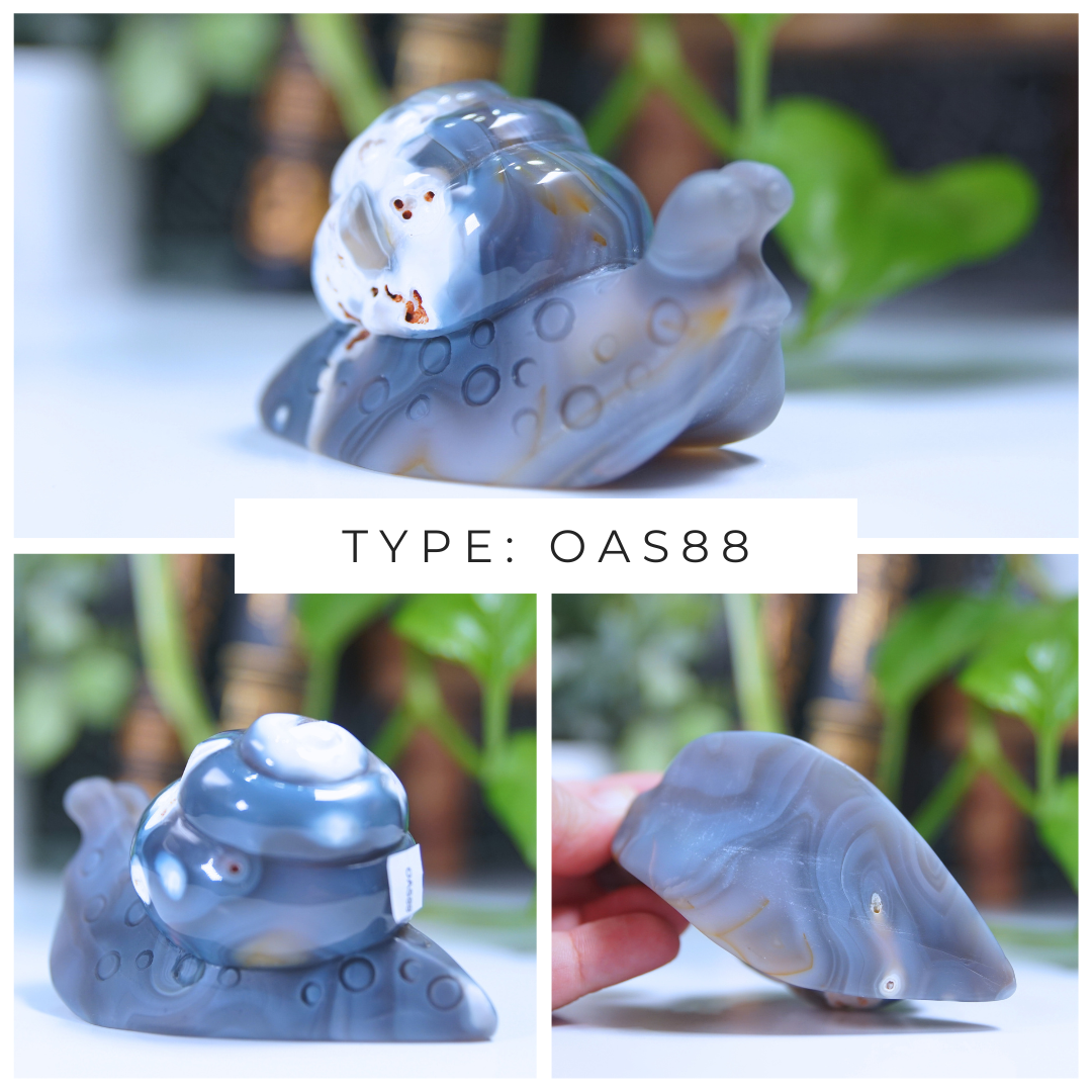 Orca Agate Snails Boutique Carvings