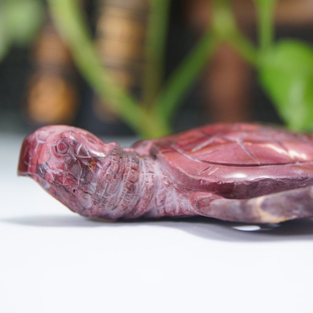 Mookaite Sea Turtle Boutique Carving (with Stand)