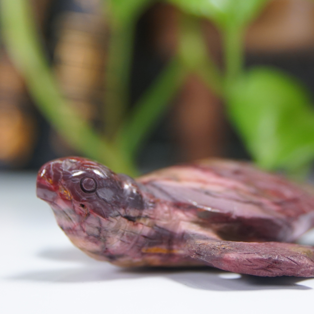 Mookaite Sea Turtle Boutique Carving (with Stand)