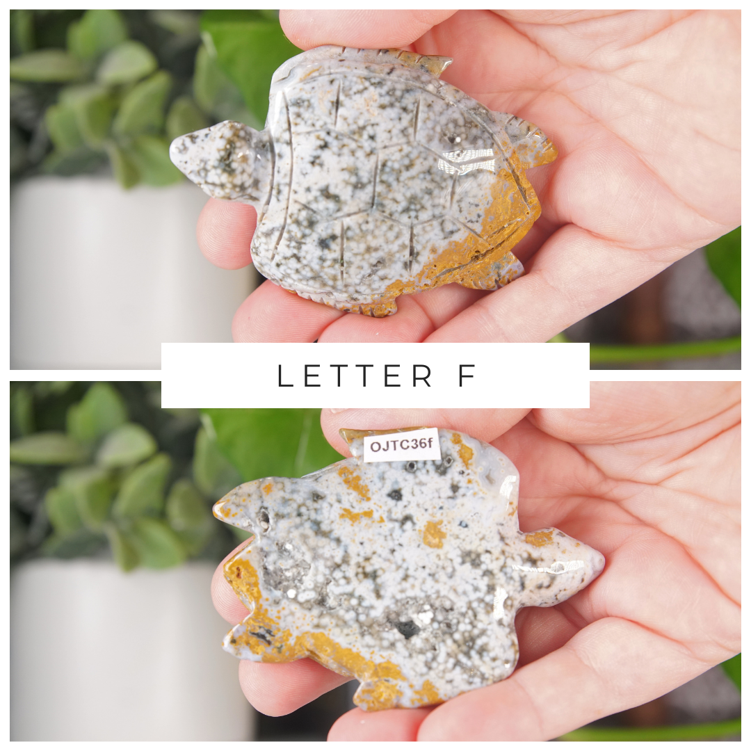 Ocean Jasper Hand Carved Small Sea Turtles | Pick Your Favorite