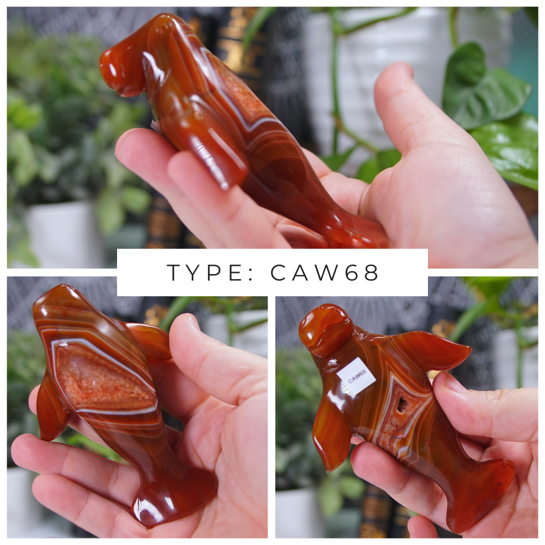 Carnelian Manatee Boutique Carvings