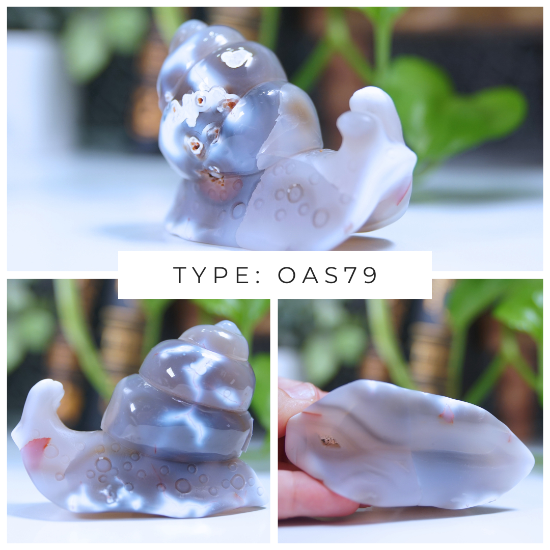 Orca Agate Snails Boutique Carvings
