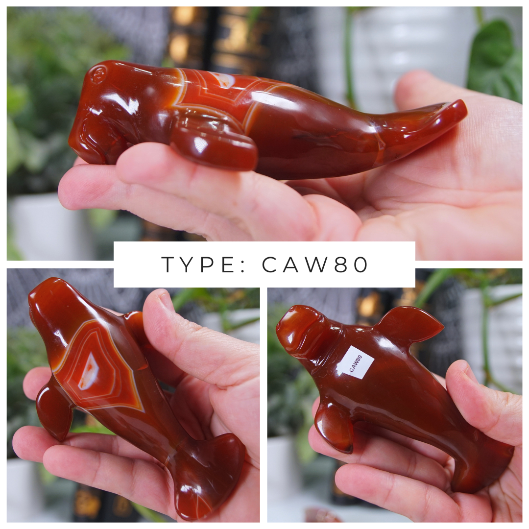 Carnelian Manatee Boutique Carvings