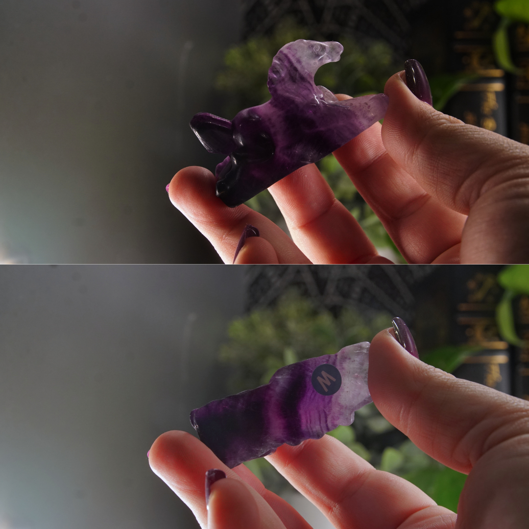Rainbow Fluorite Horse Carving | Pick Your Favorite