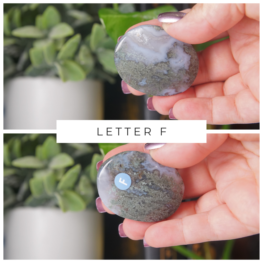 Moss Agate High Quality Palm Stones | Pick Your Favorite