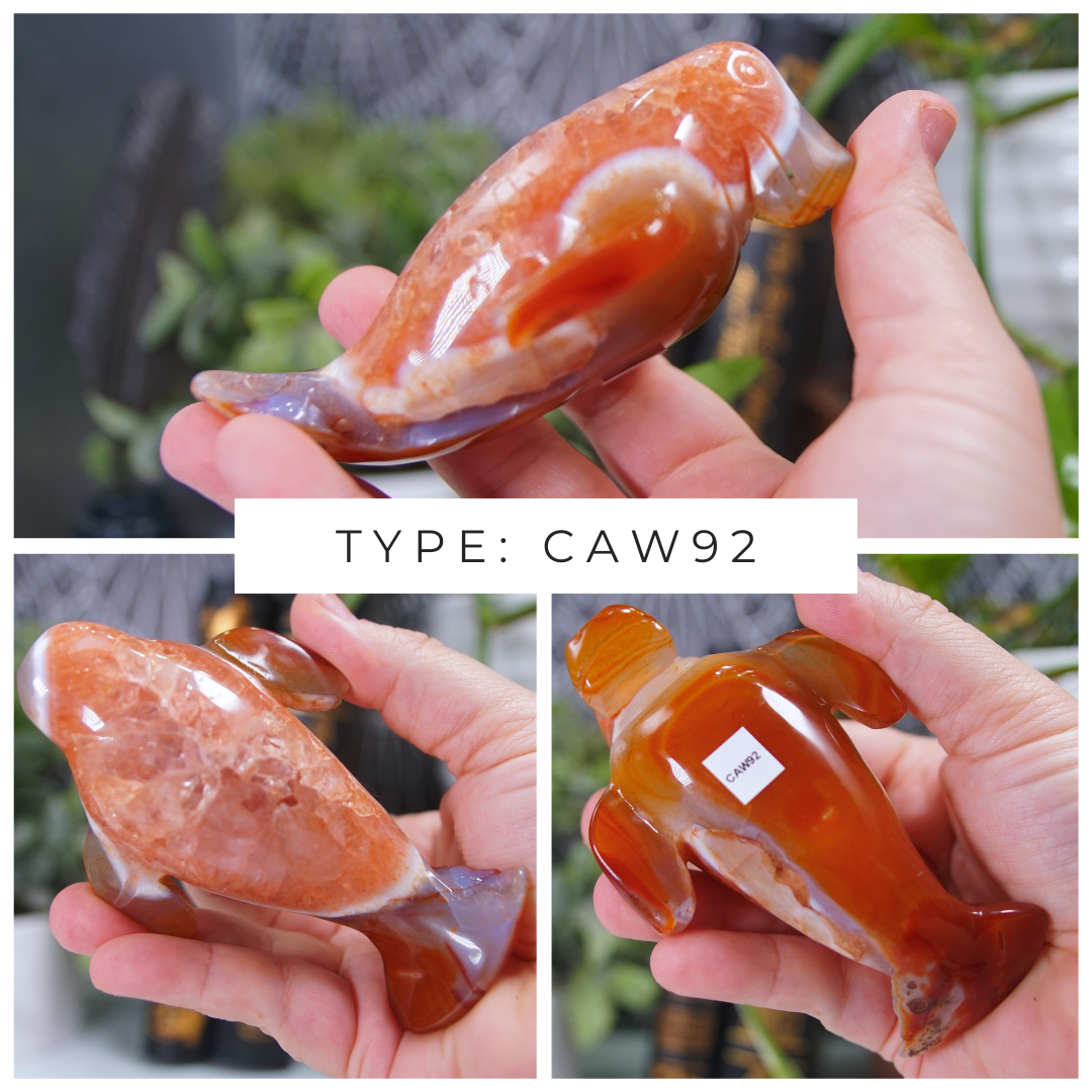 Carnelian Manatee Boutique Carvings