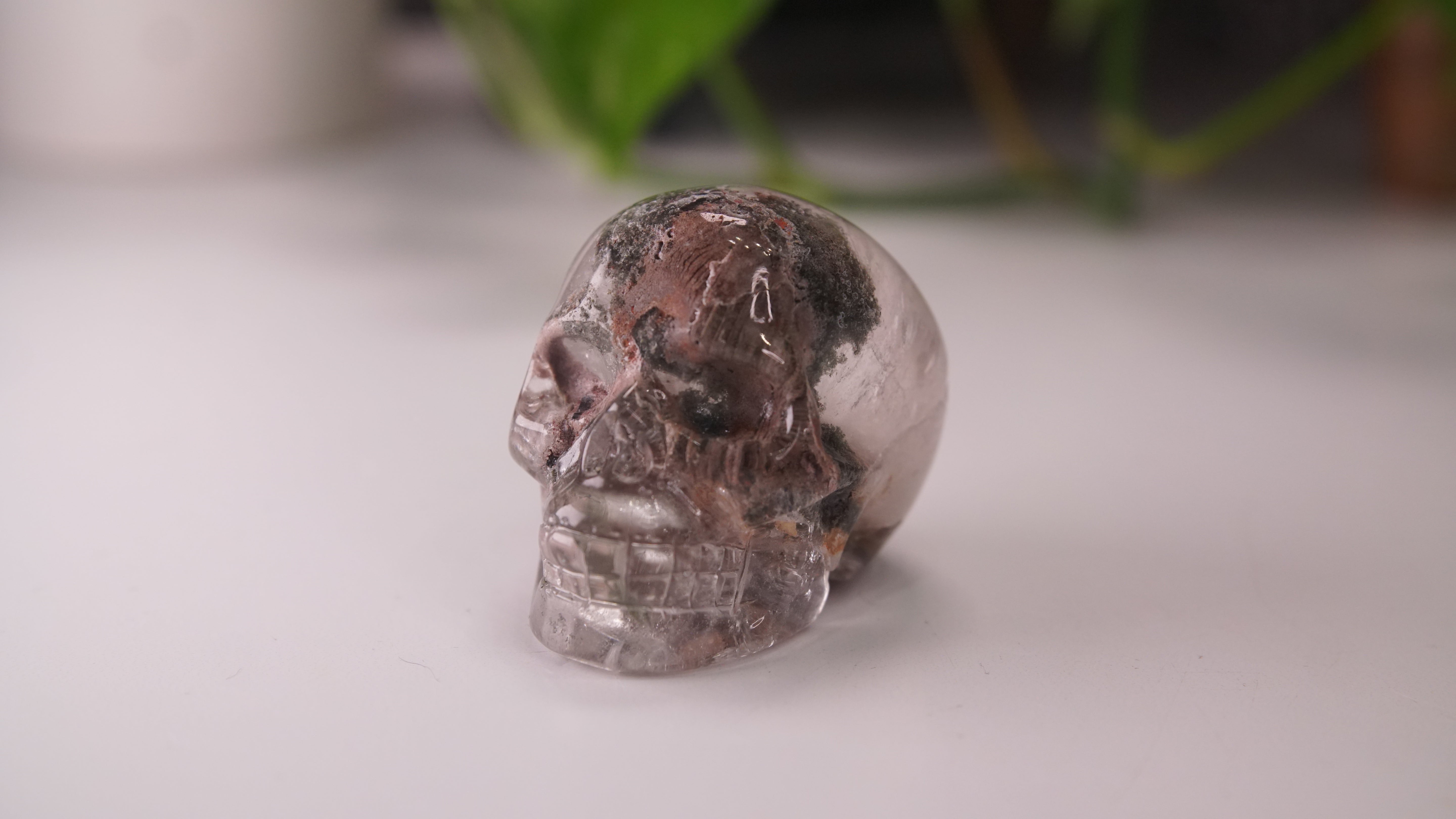Garden Quartz Skulls Lodolite With Inclusions Crystal Carving (Large)