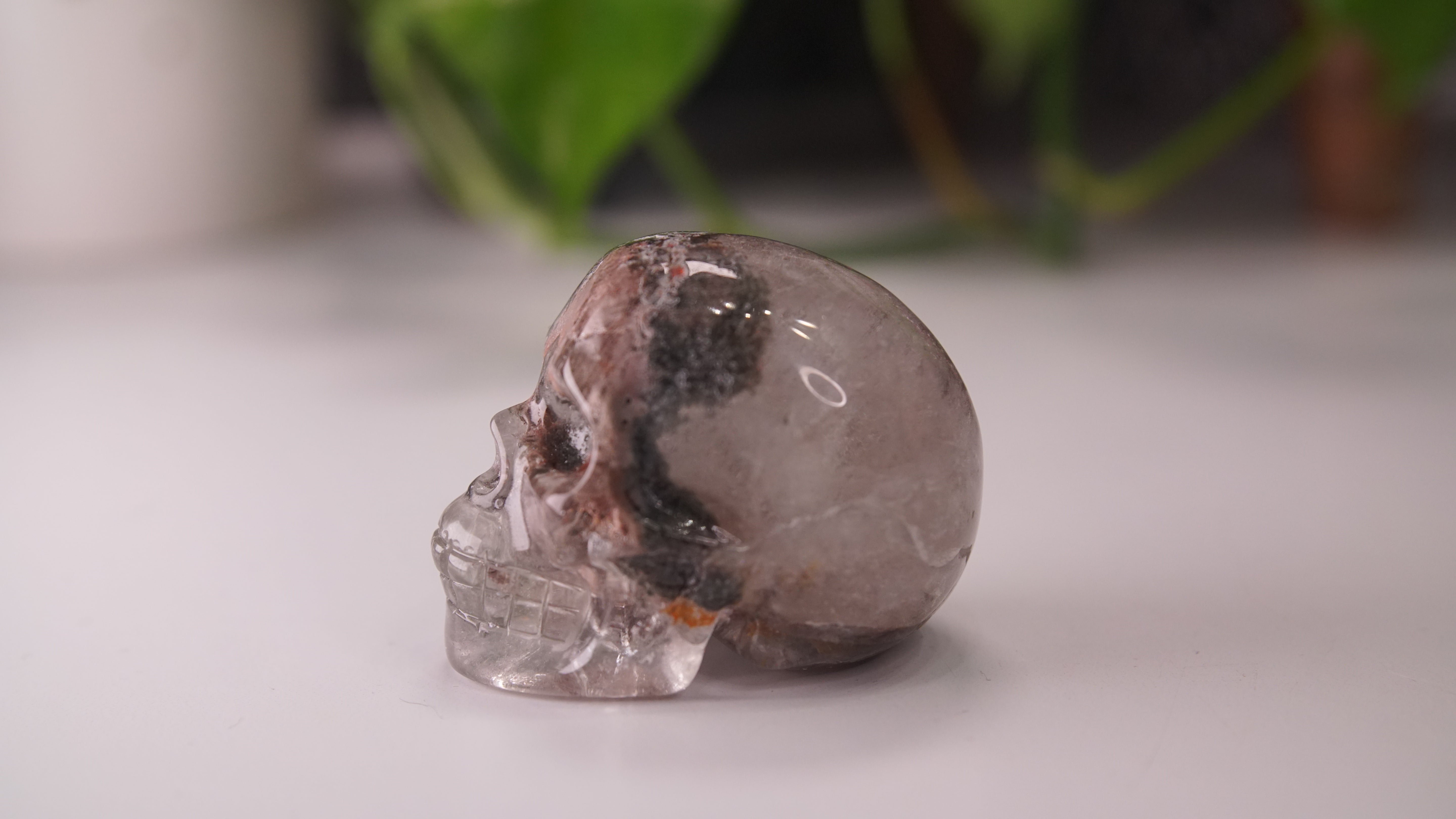 Garden Quartz Skulls Lodolite With Inclusions Crystal Carving (Large)