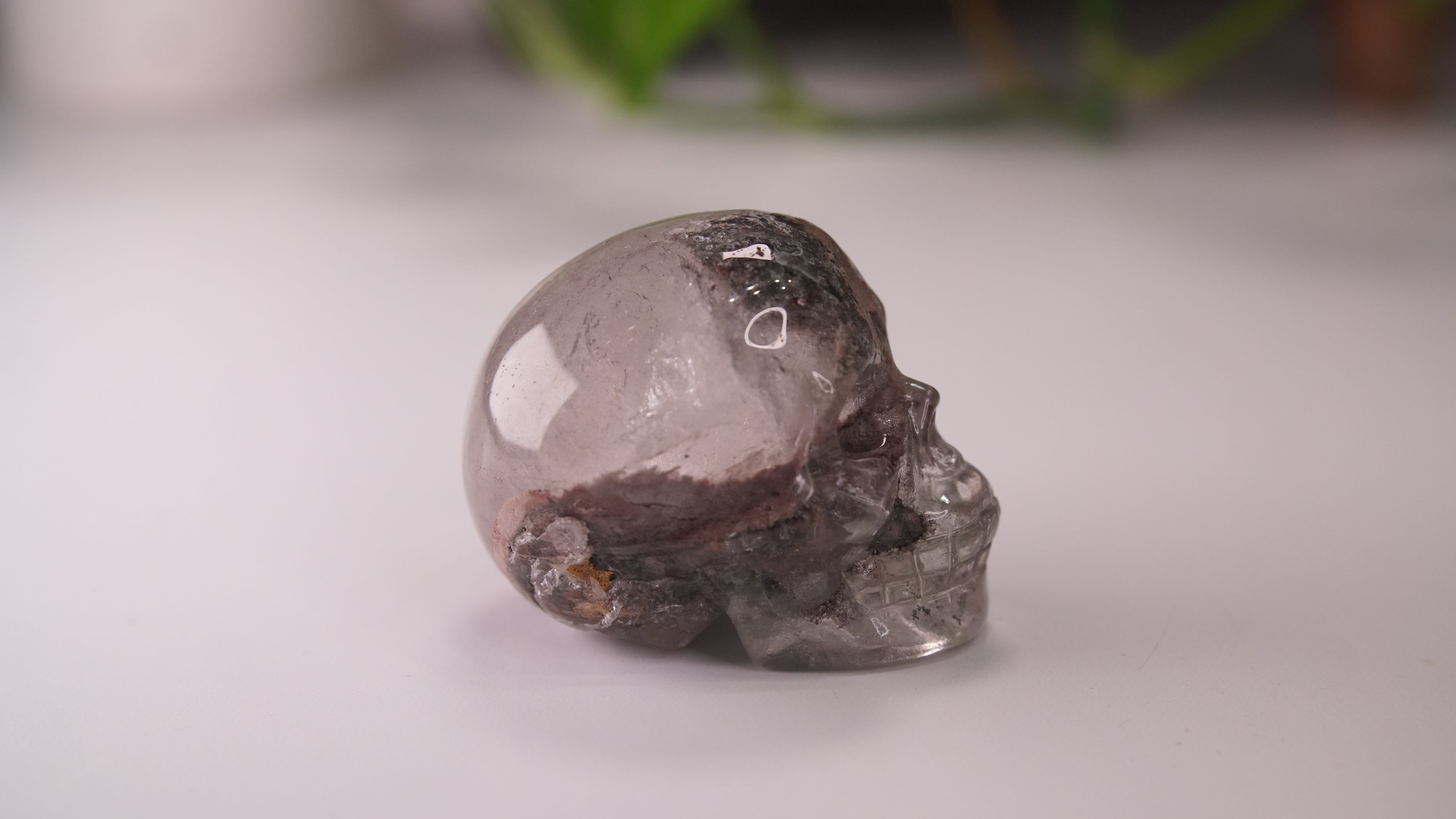 Garden Quartz Skulls Lodolite With Inclusions Crystal Carving (Large)