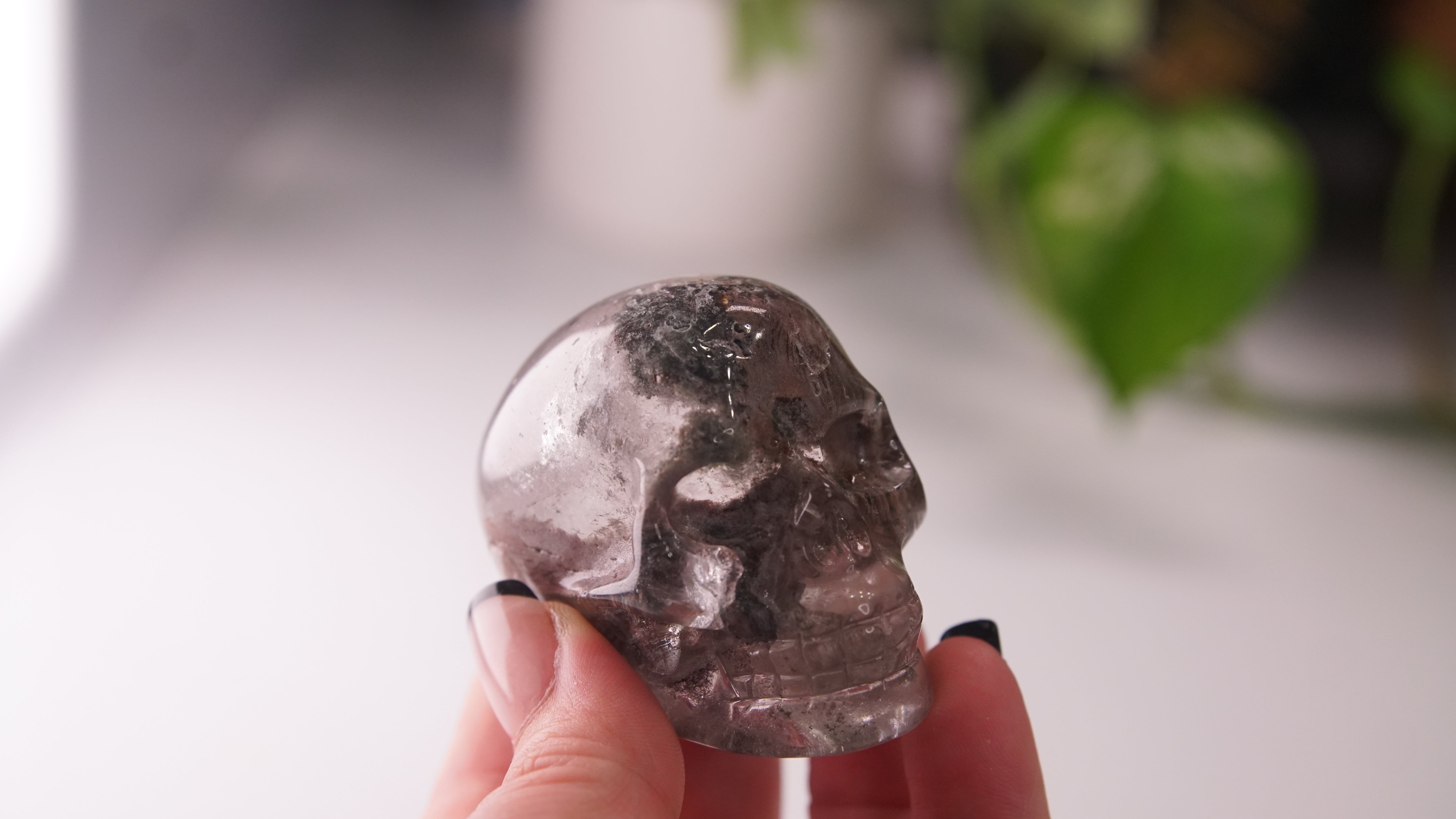 Garden Quartz Skulls Lodolite With Inclusions Crystal Carving (Large)