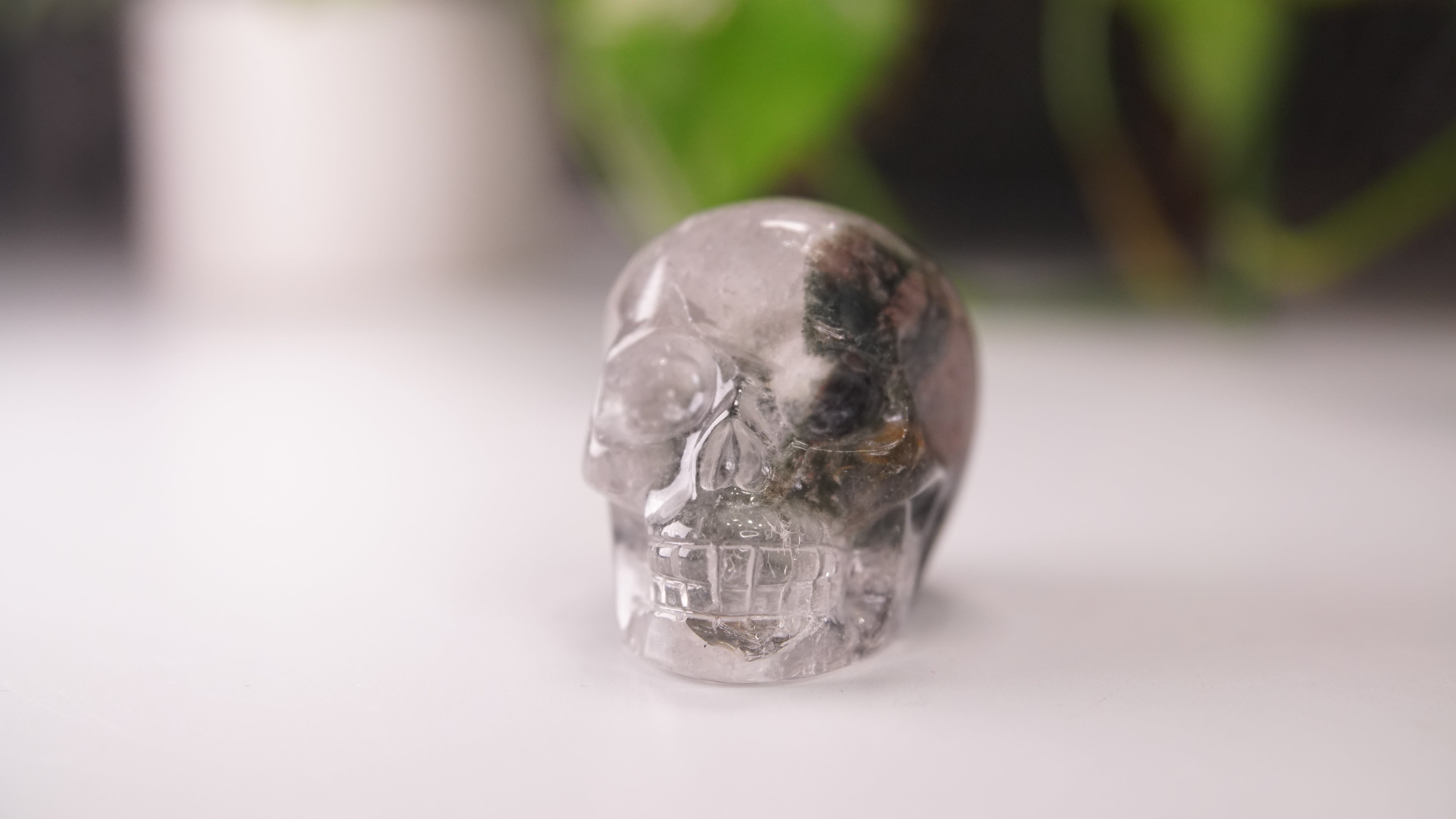 Garden Quartz Skulls Lodolite With Inclusions Crystal Carving (Large)