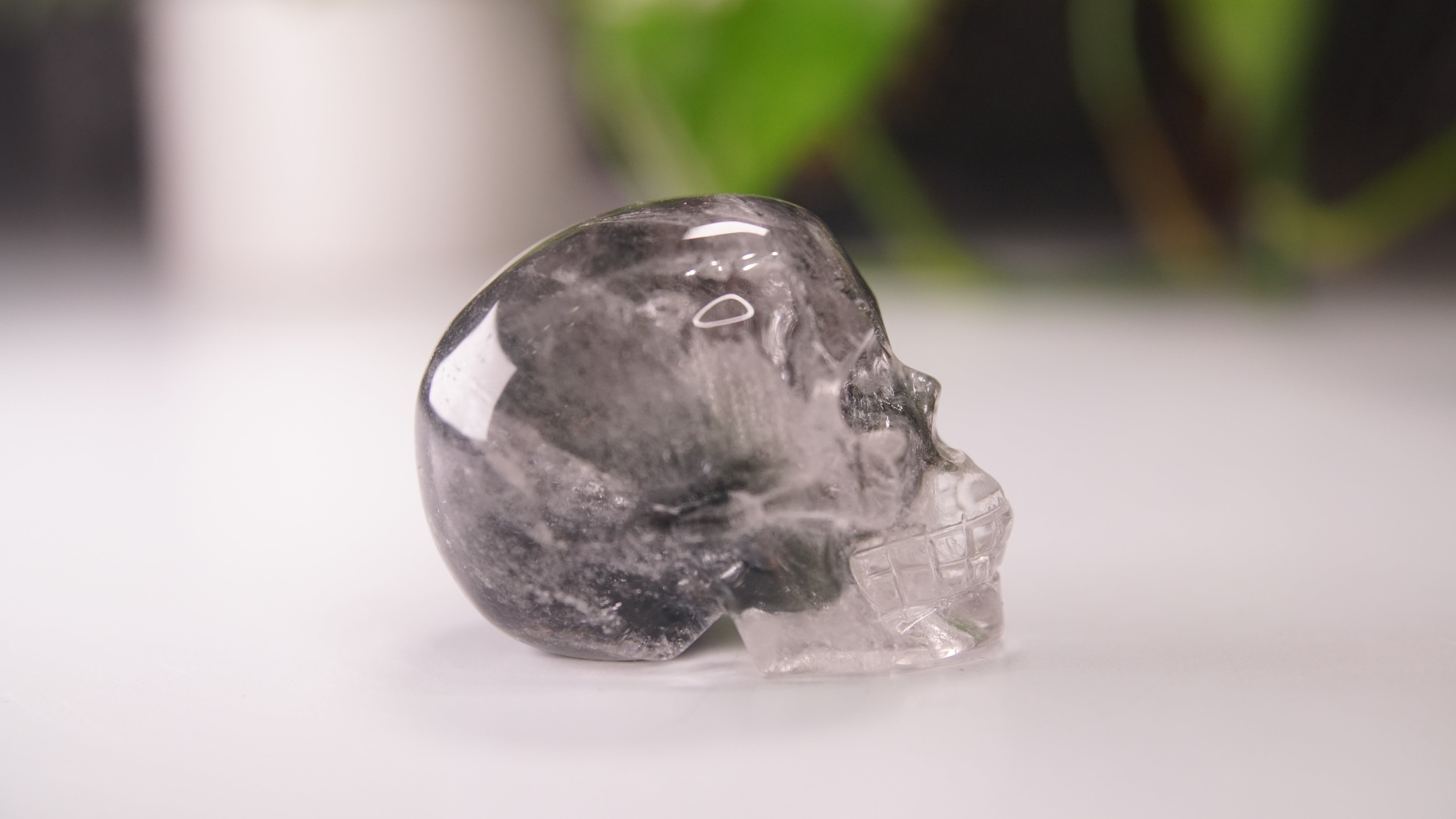 Garden Quartz Skulls Lodolite With Inclusions Crystal Carving (Large)