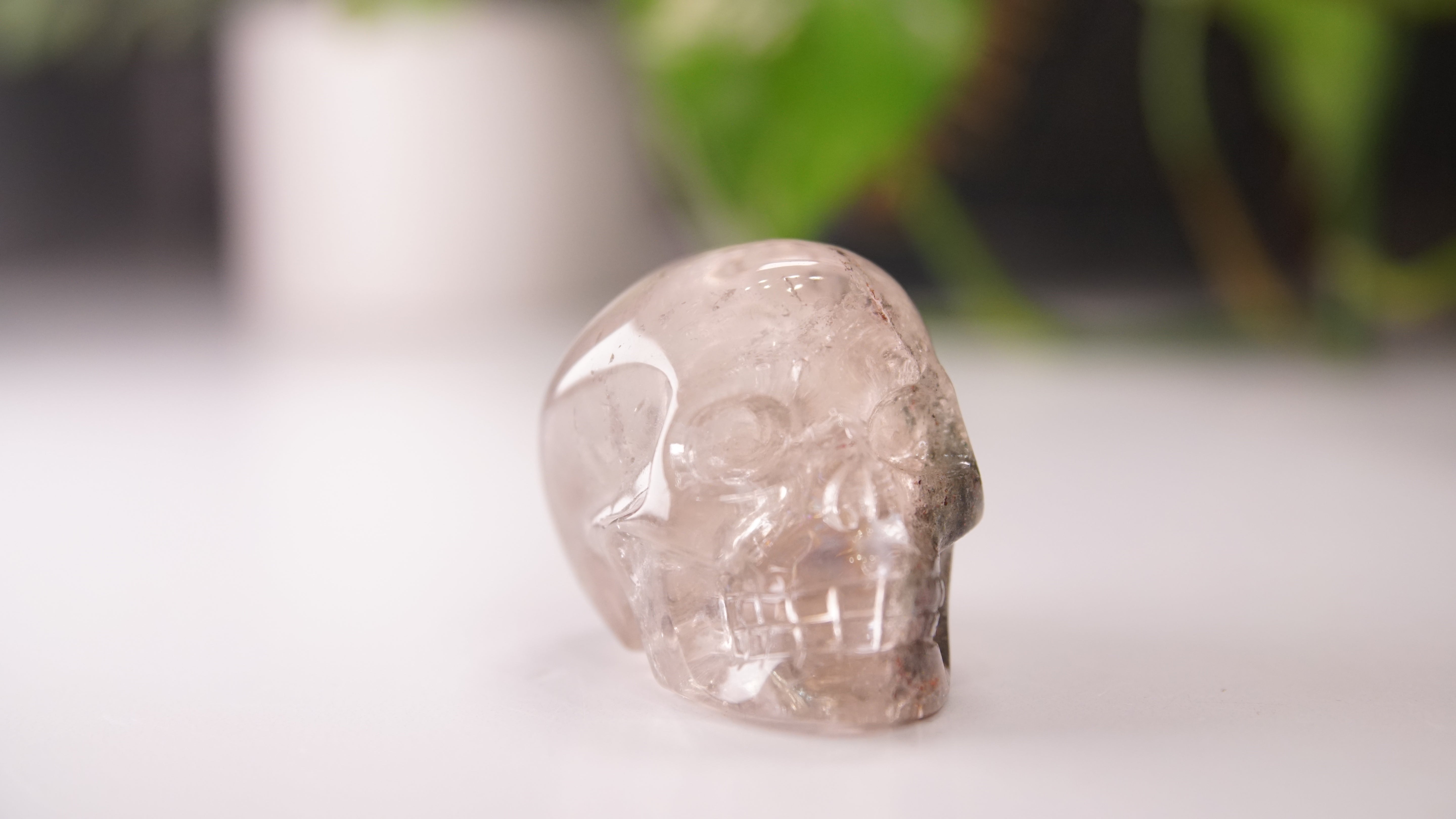 Garden Quartz Skulls Lodolite With Inclusions Crystal Carving (Large)