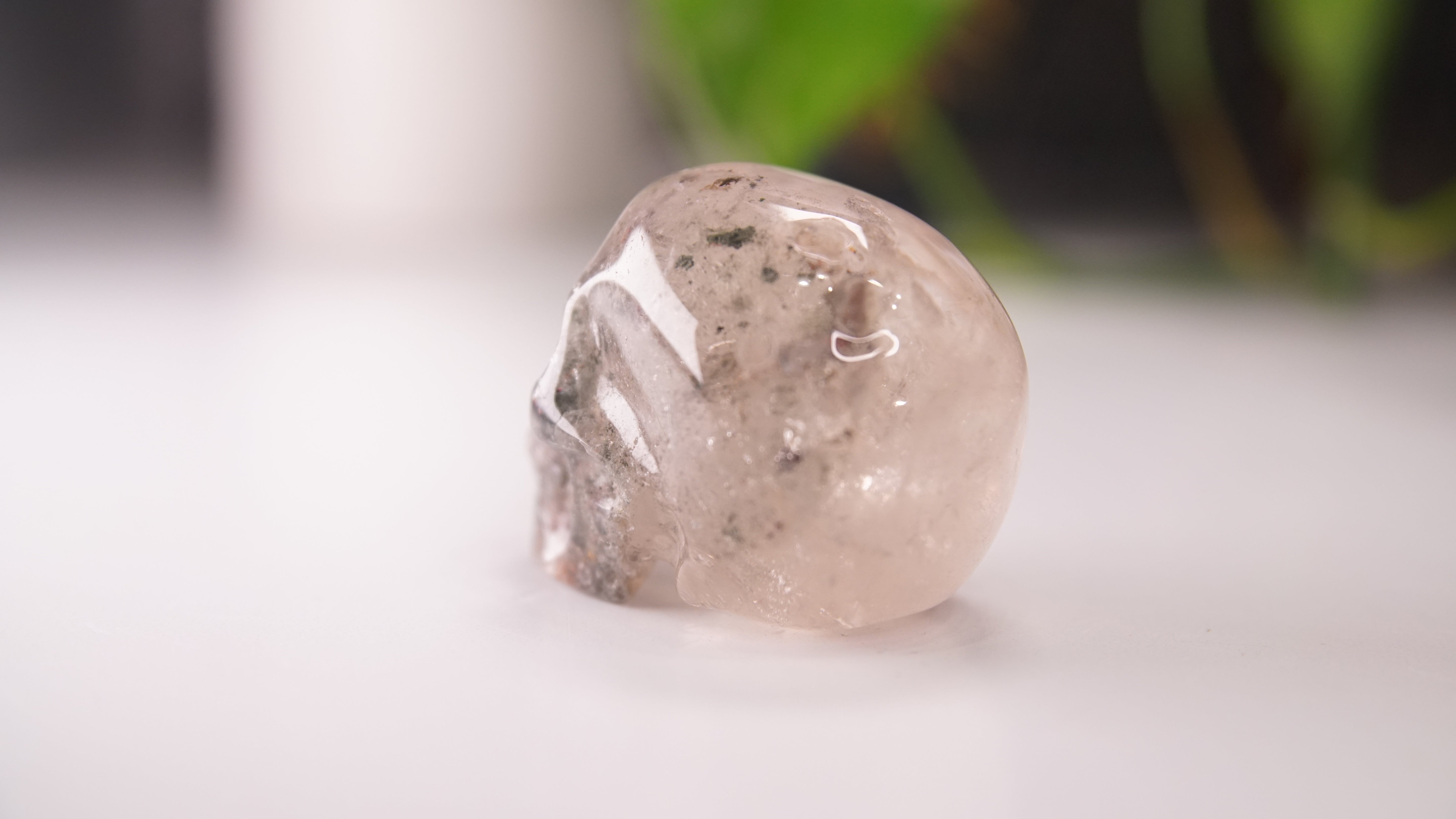 Garden Quartz Skulls Lodolite With Inclusions Crystal Carving (Large)
