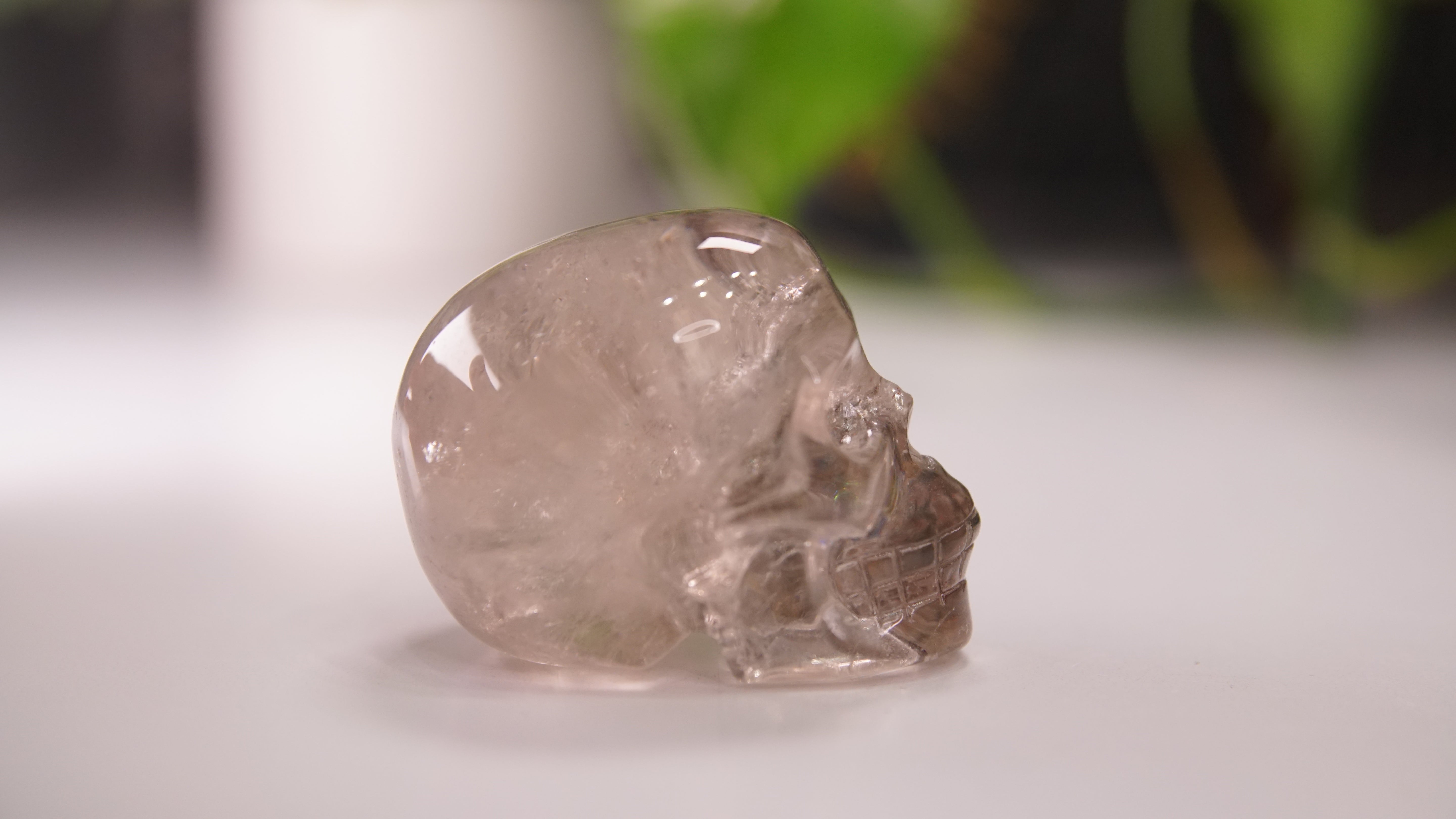 Garden Quartz Skulls Lodolite With Inclusions Crystal Carving (Large)