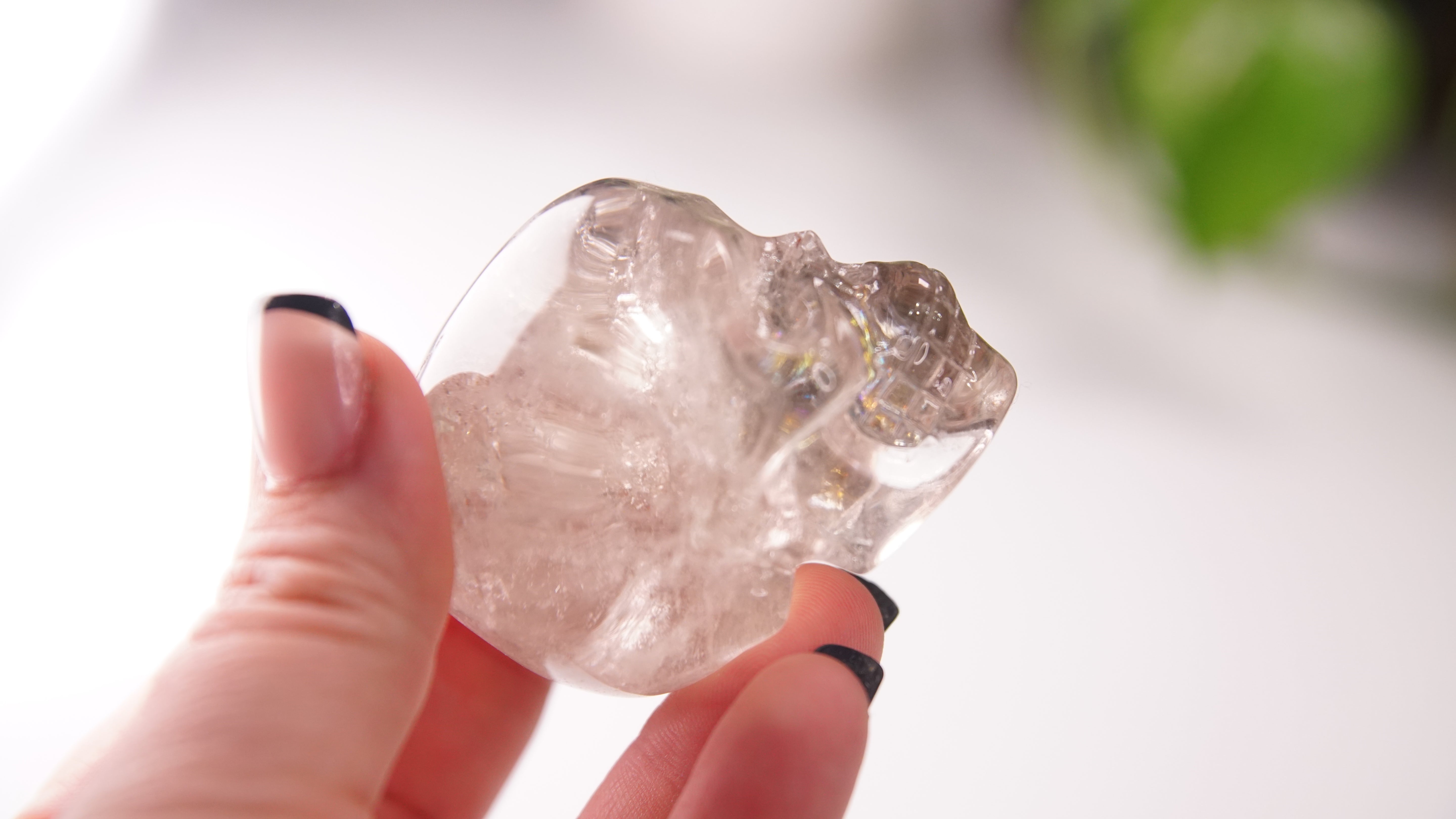 Garden Quartz Skulls Lodolite With Inclusions Crystal Carving (Large)