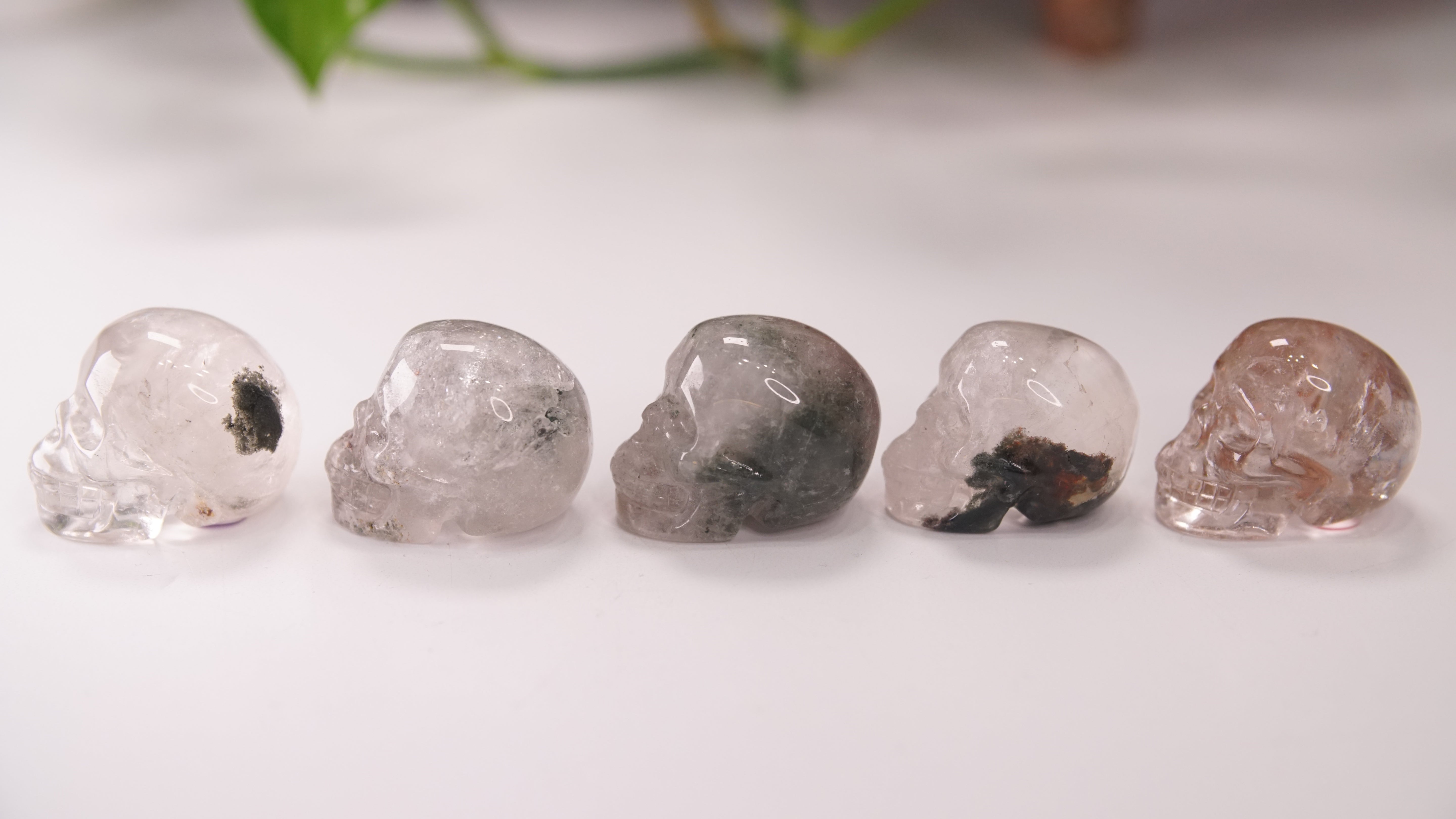 Garden Quartz Skulls Lodolite With Inclusions Crystal Carving (Small)