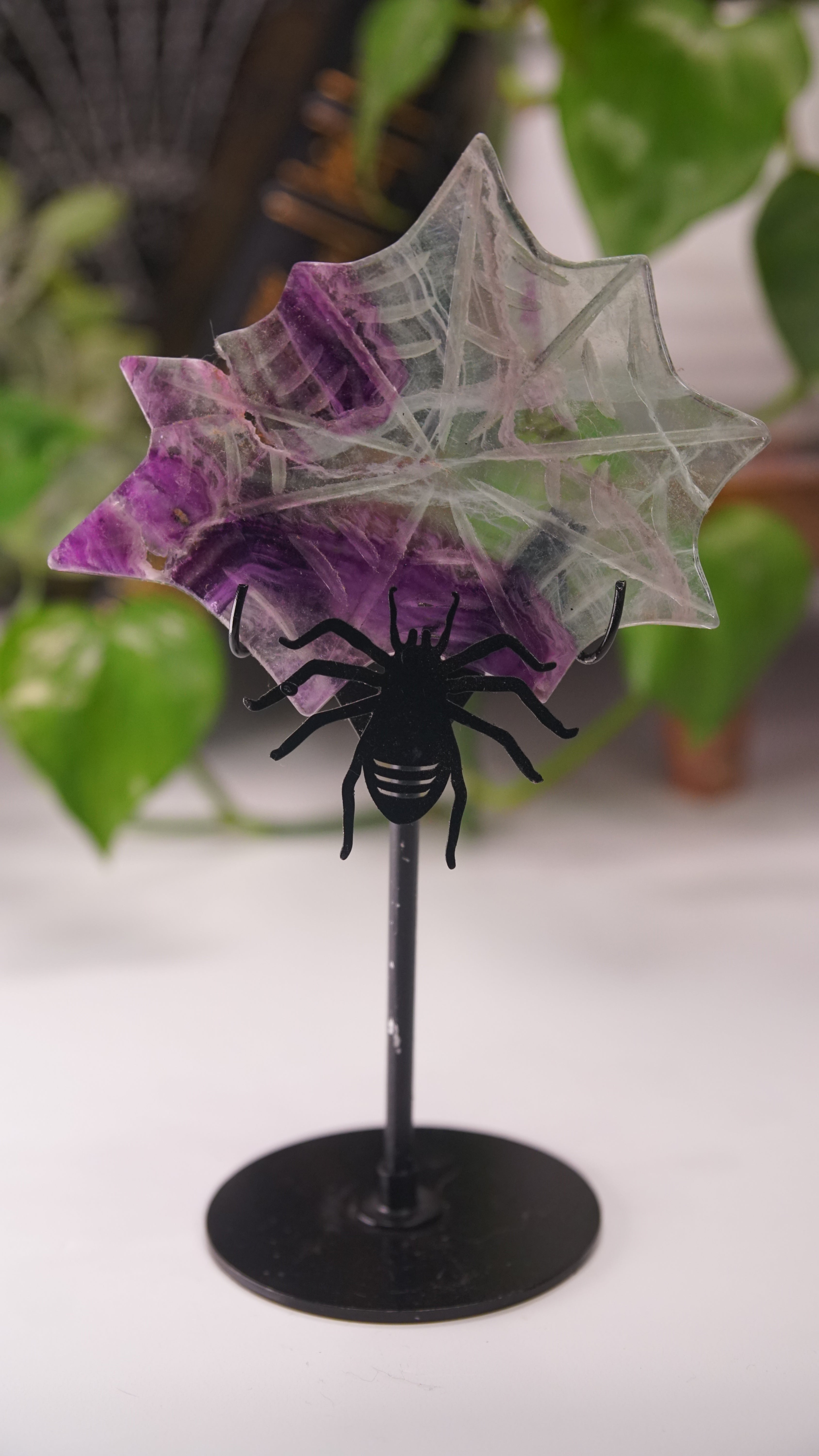 Fluorite Spider Web With FREE Spider Stand | Crystal Carving Sculpture