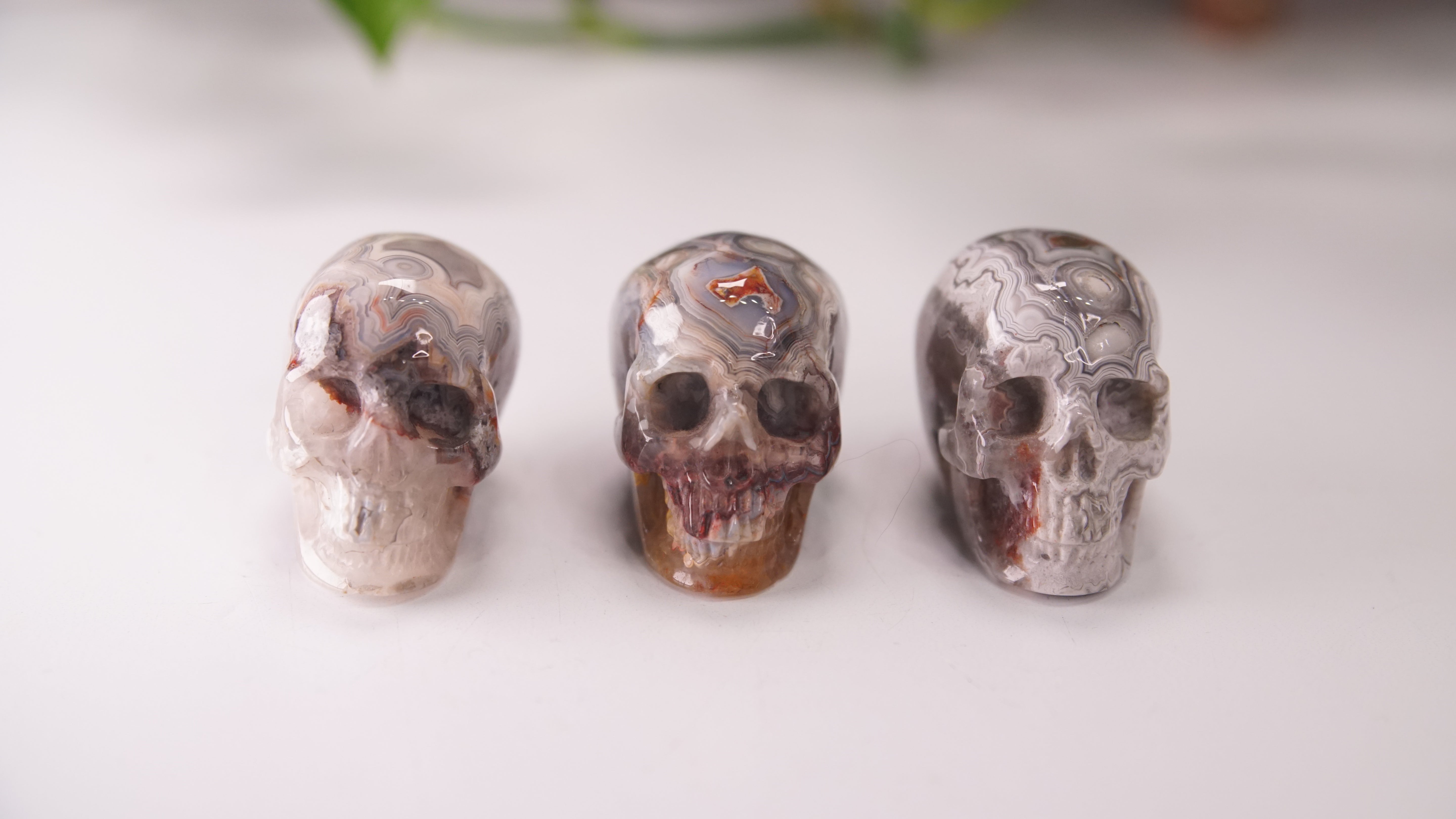 High Quality Mexican Crazy Lace Agate Skull (Small, 2")