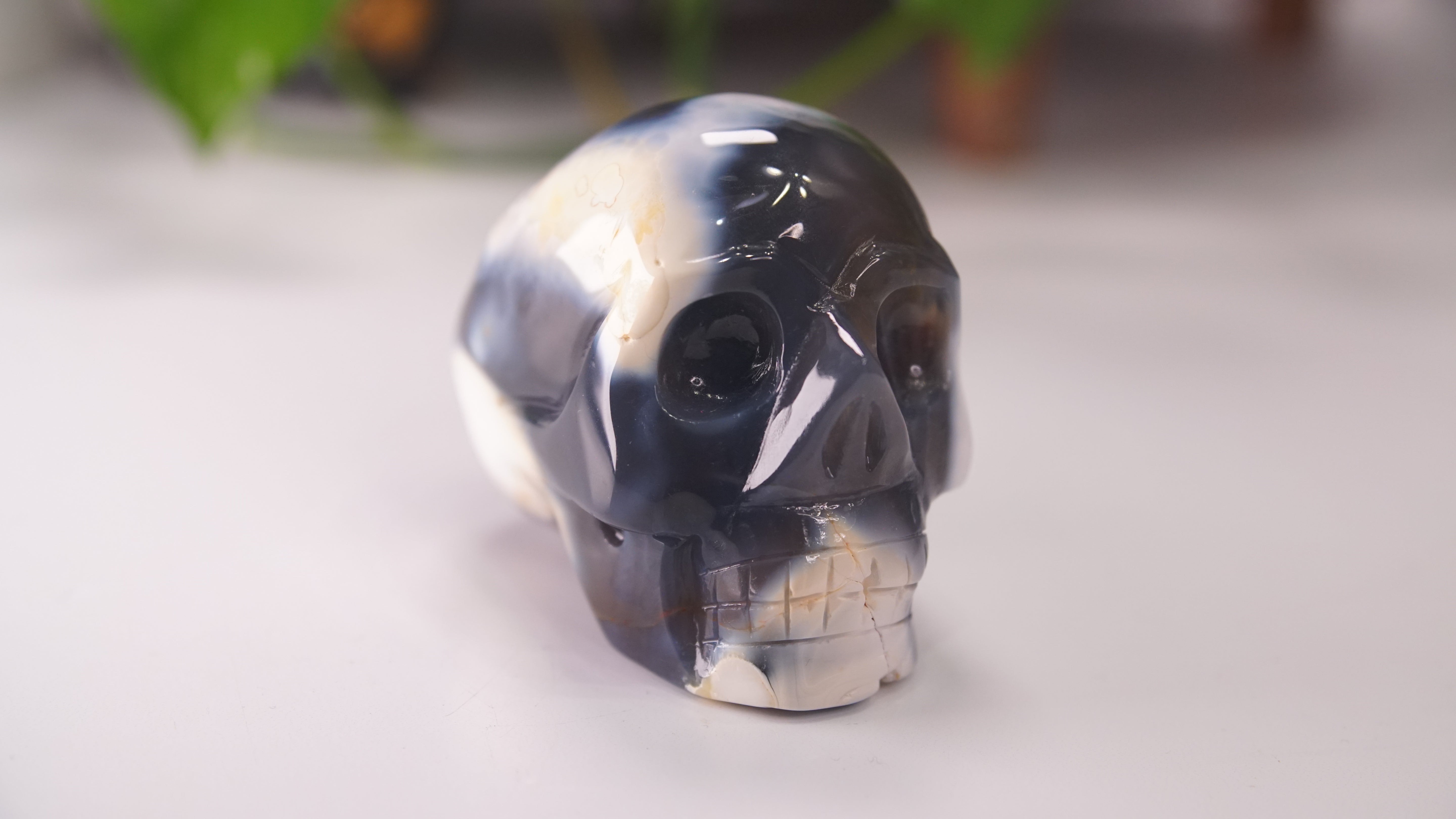 Orca Agate Large Skull Hand Carved Carving