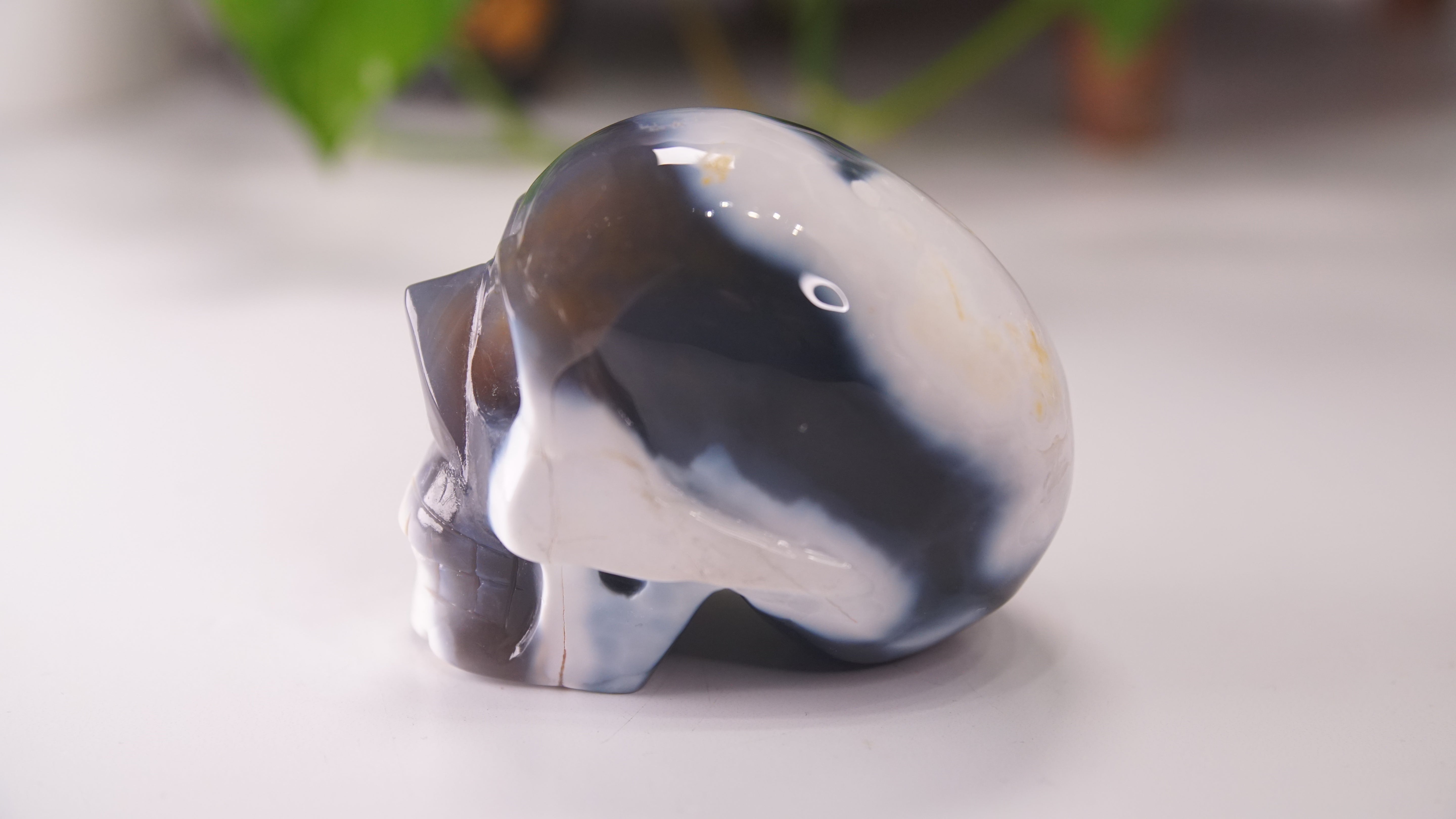 Orca Agate Large Skull Hand Carved Carving