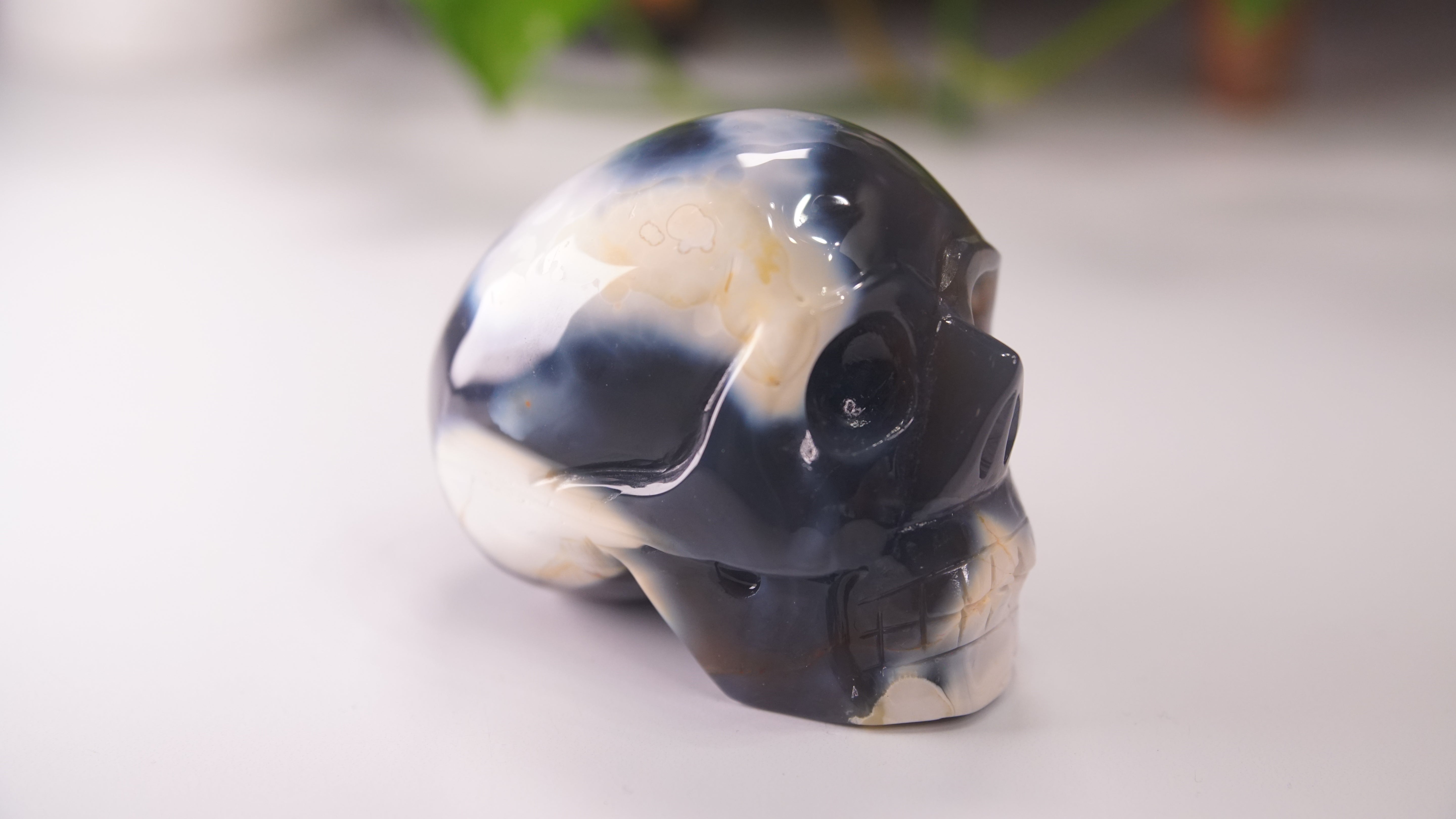 Orca Agate Large Skull Hand Carved Carving