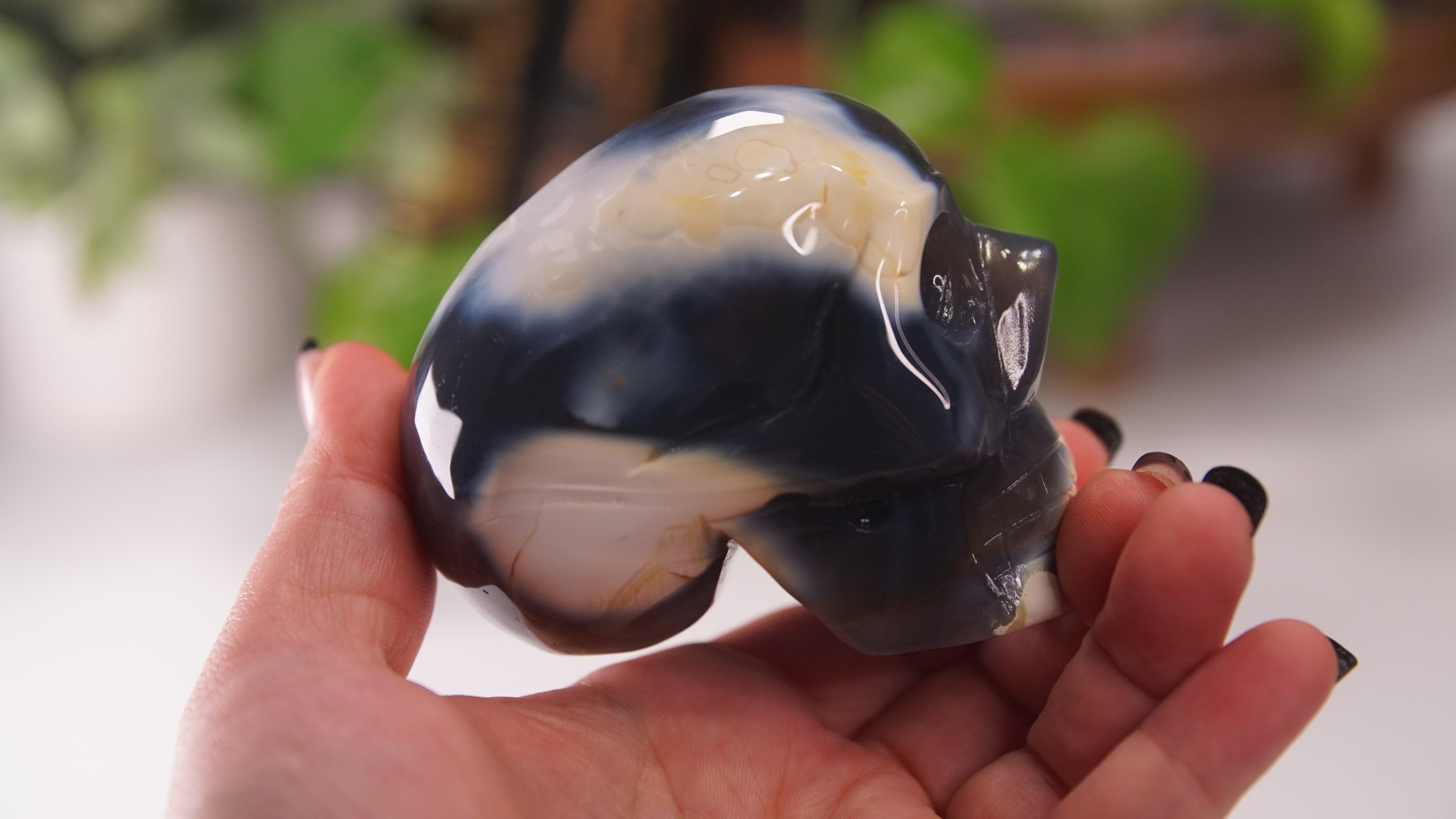 Orca Agate Large Skull Hand Carved Carving