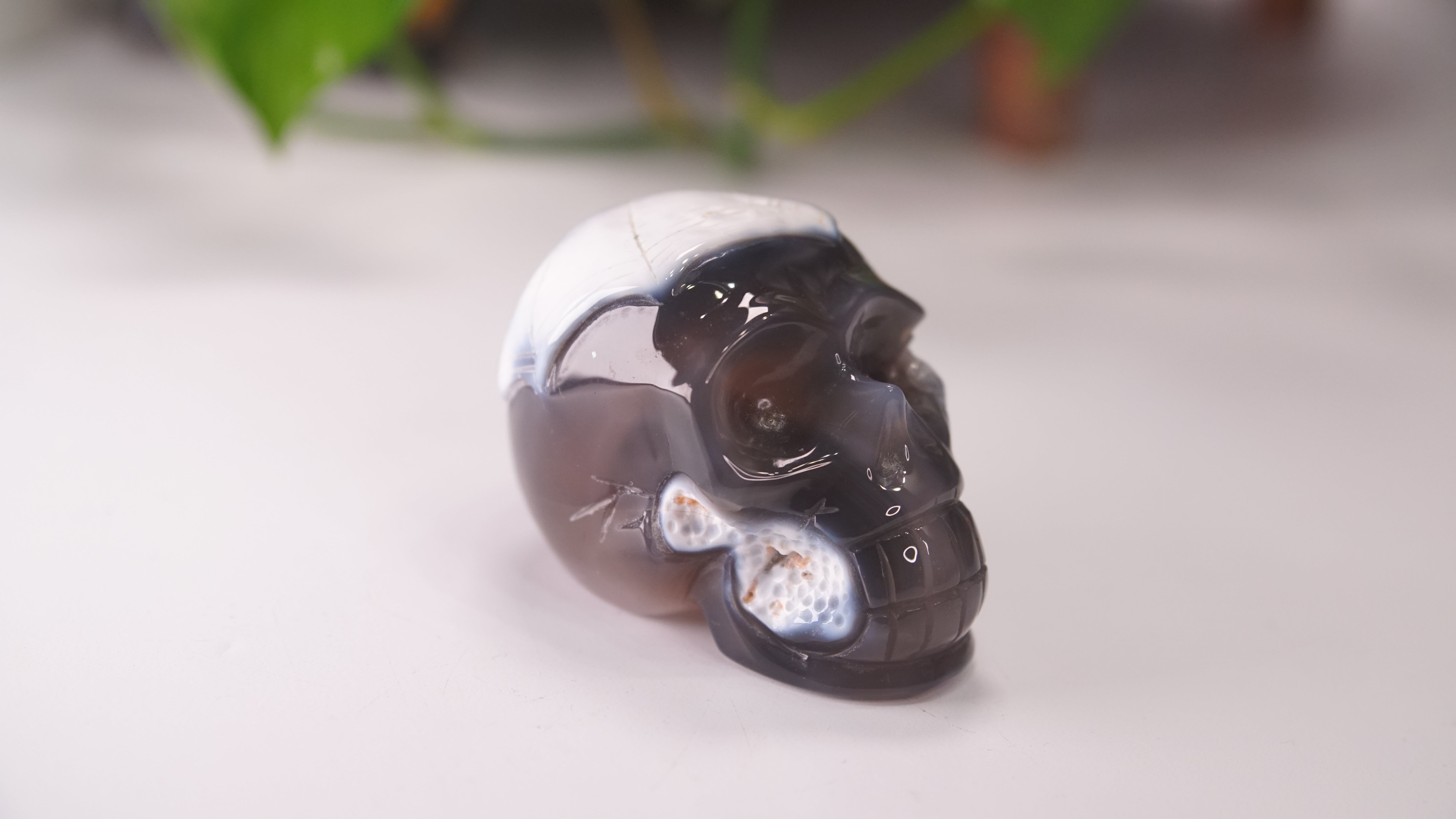 Orca Agate Large Skull Hand Carved Carving