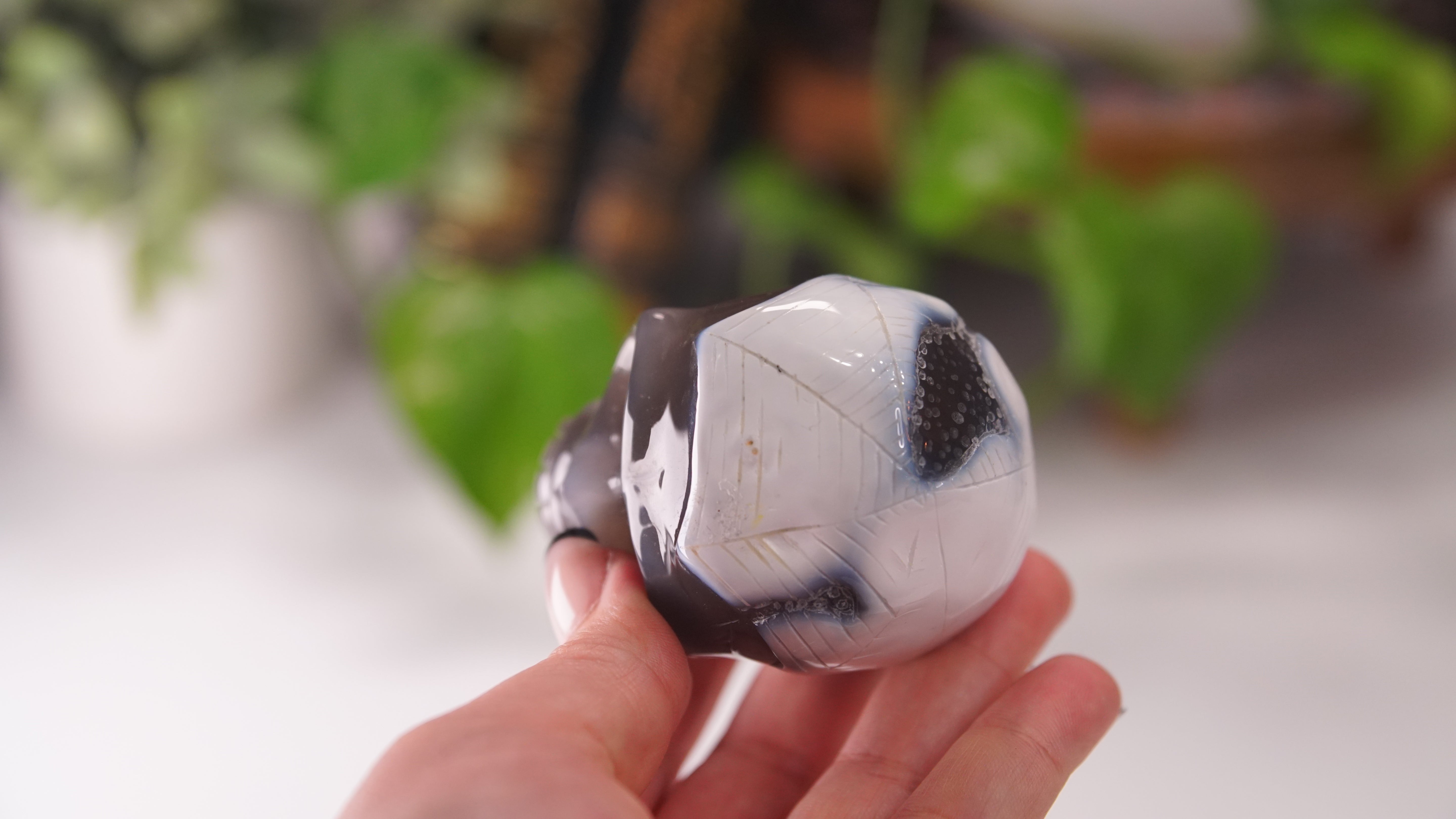 Orca Agate Large Skull Hand Carved Carving