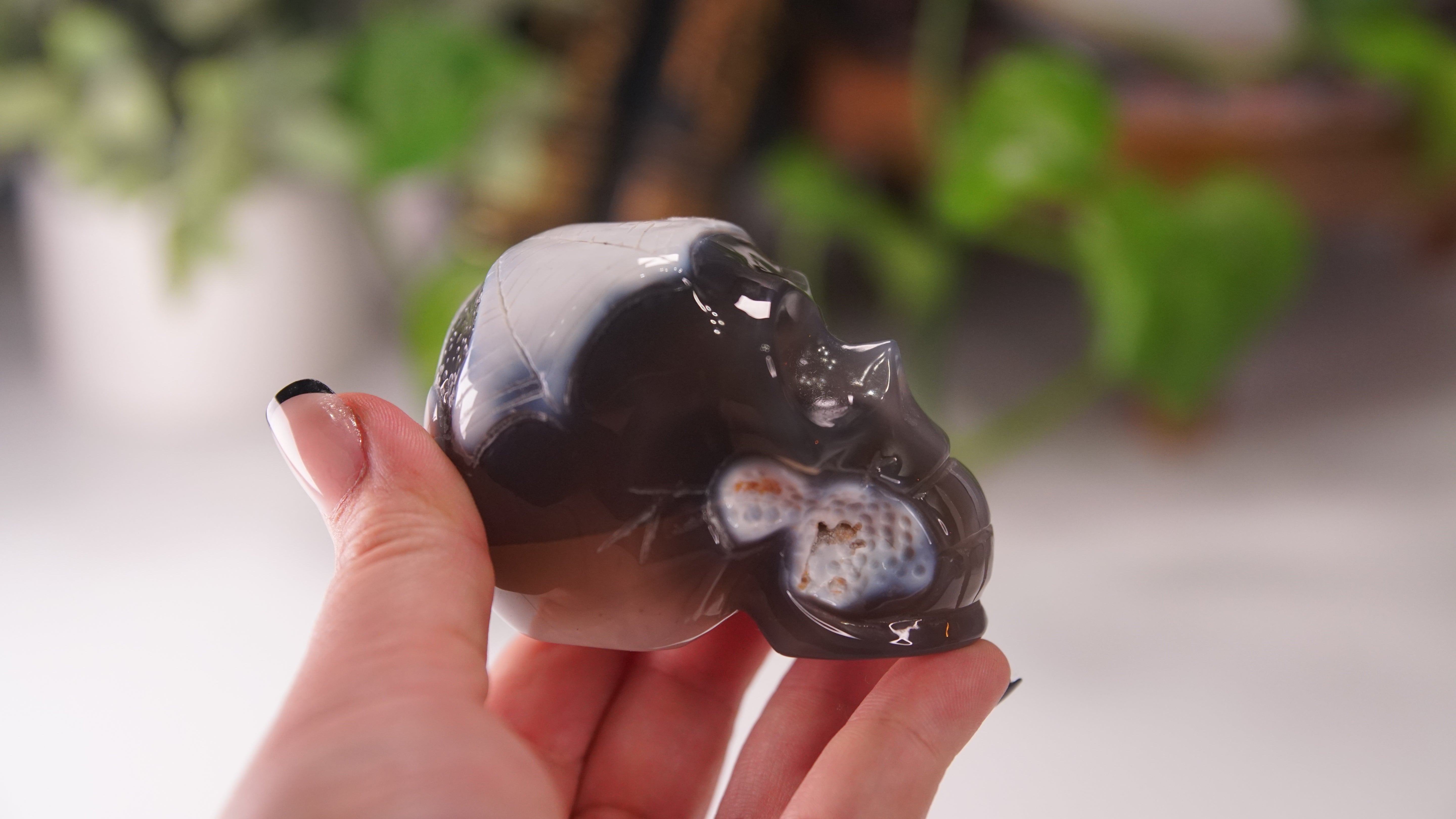 Orca Agate Large Skull Hand Carved Carving