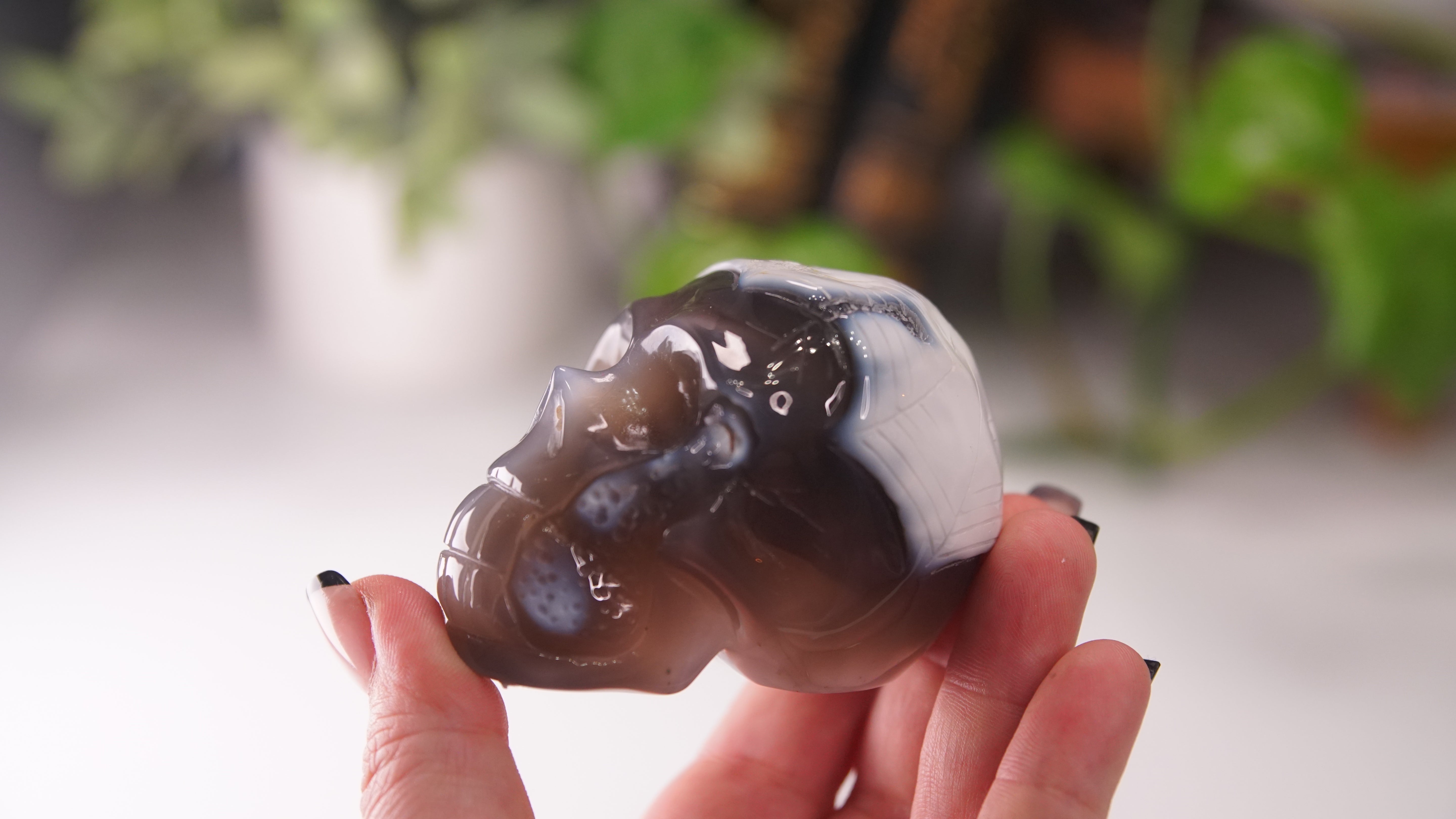 Orca Agate Large Skull Hand Carved Carving