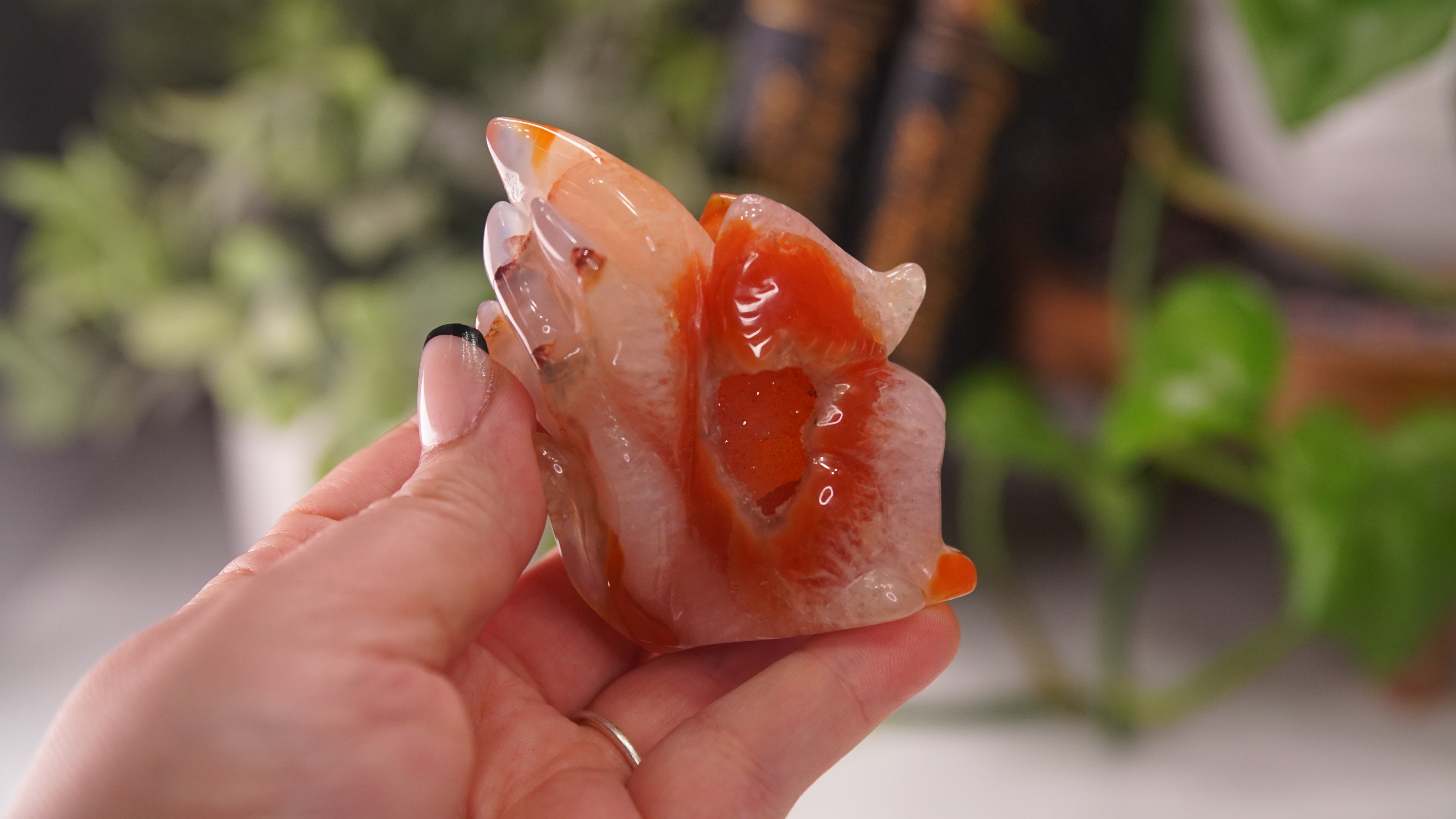 Druzy Carnelian Fox Boutique Carvings | High Quality | US Seller