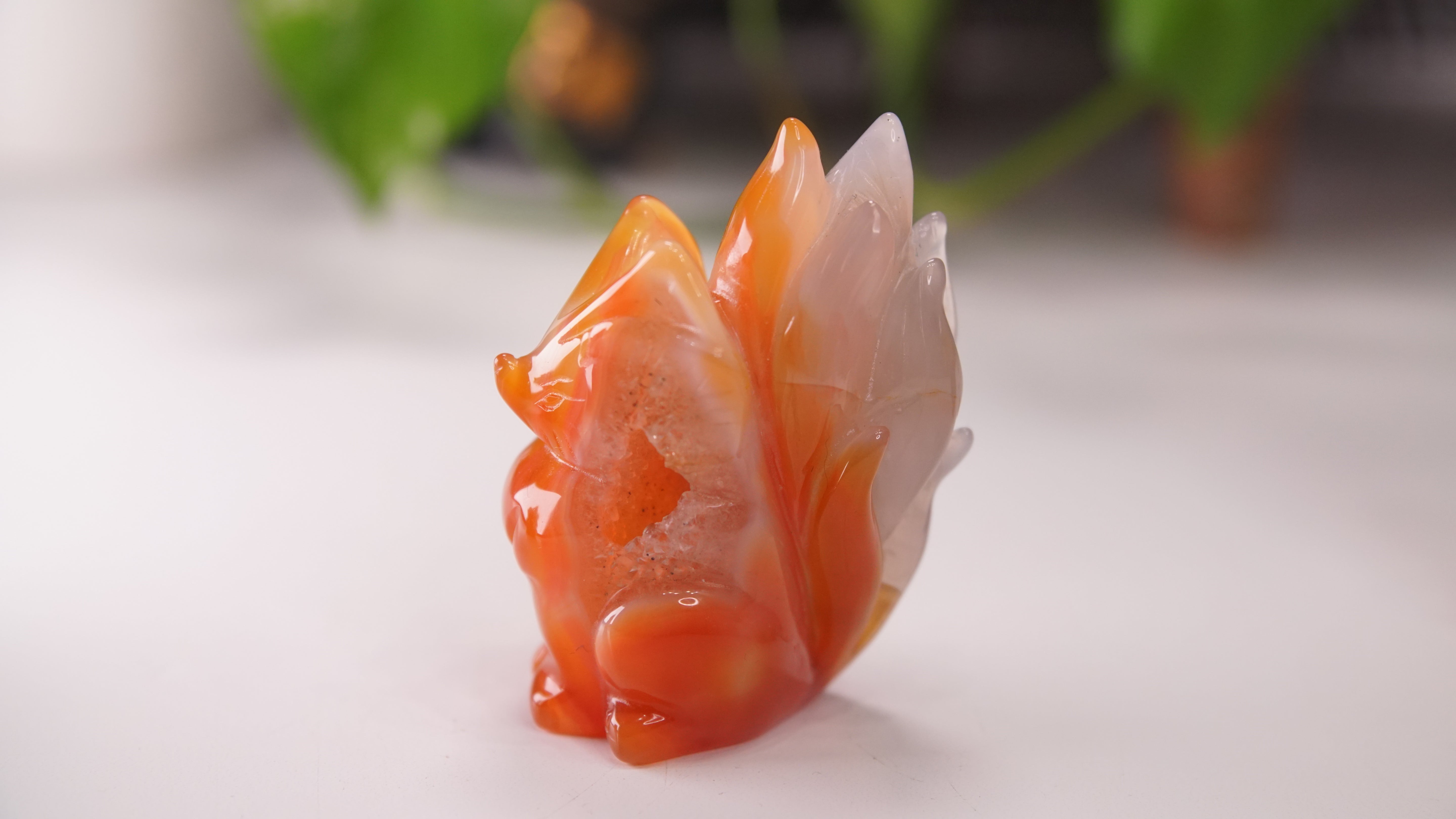 Druzy Carnelian Fox Boutique Carvings | High Quality | US Seller
