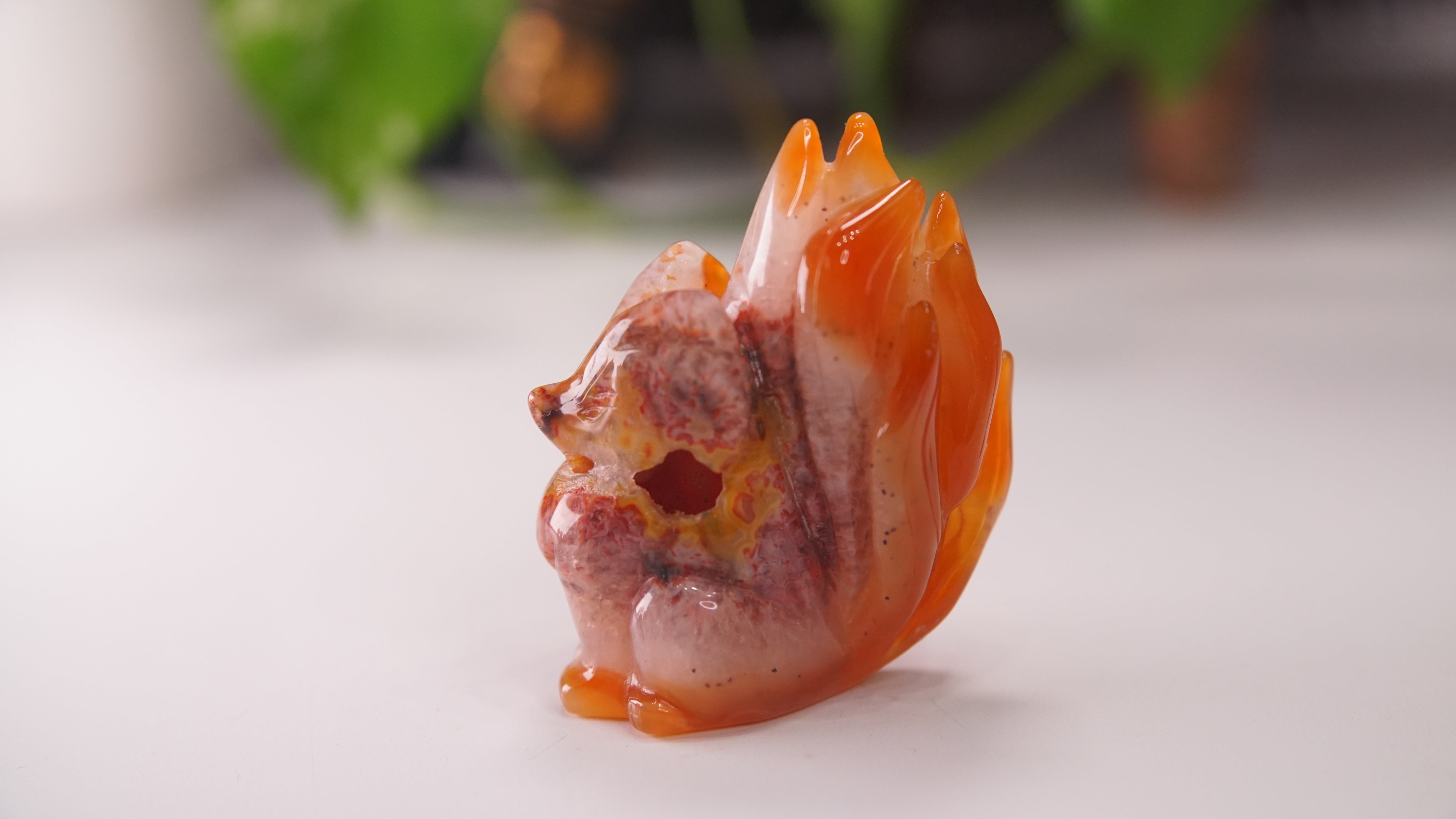 Druzy Carnelian Fox Boutique Carvings | High Quality | US Seller