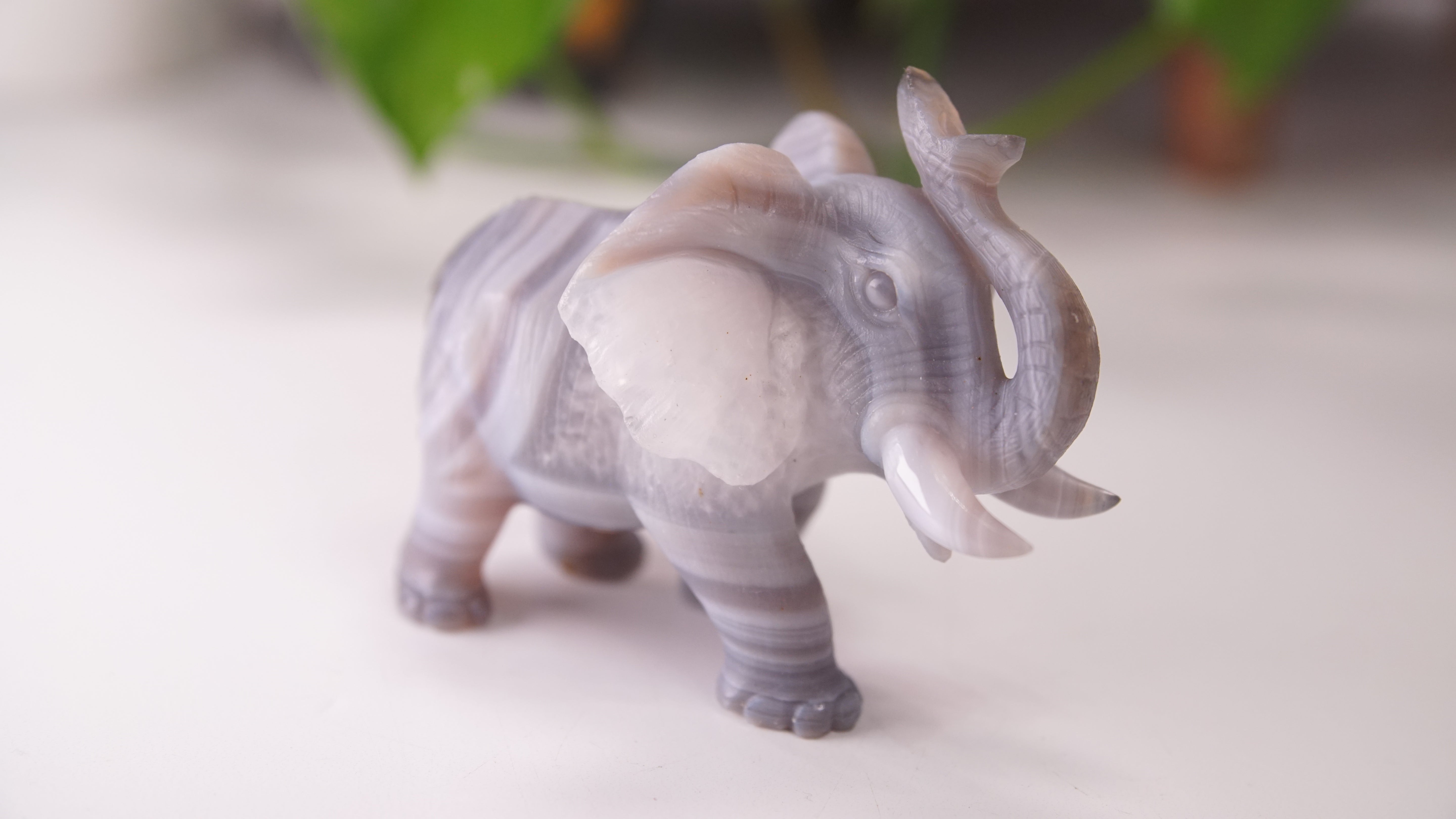 Cute Agate Boutique Elephant Carving | Crystal Carving Statement Piece