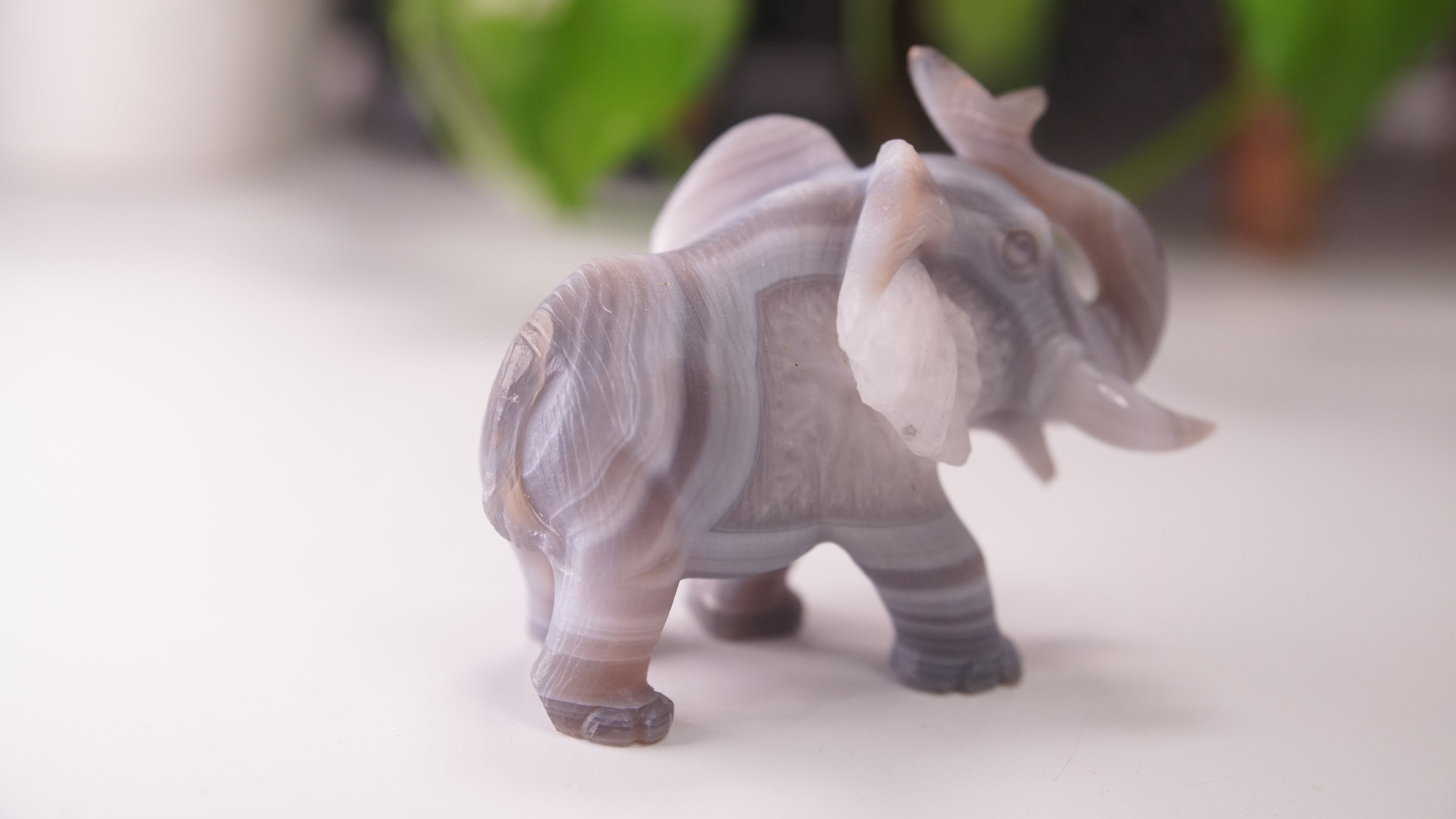 Cute Agate Boutique Elephant Carving | Crystal Carving Statement Piece