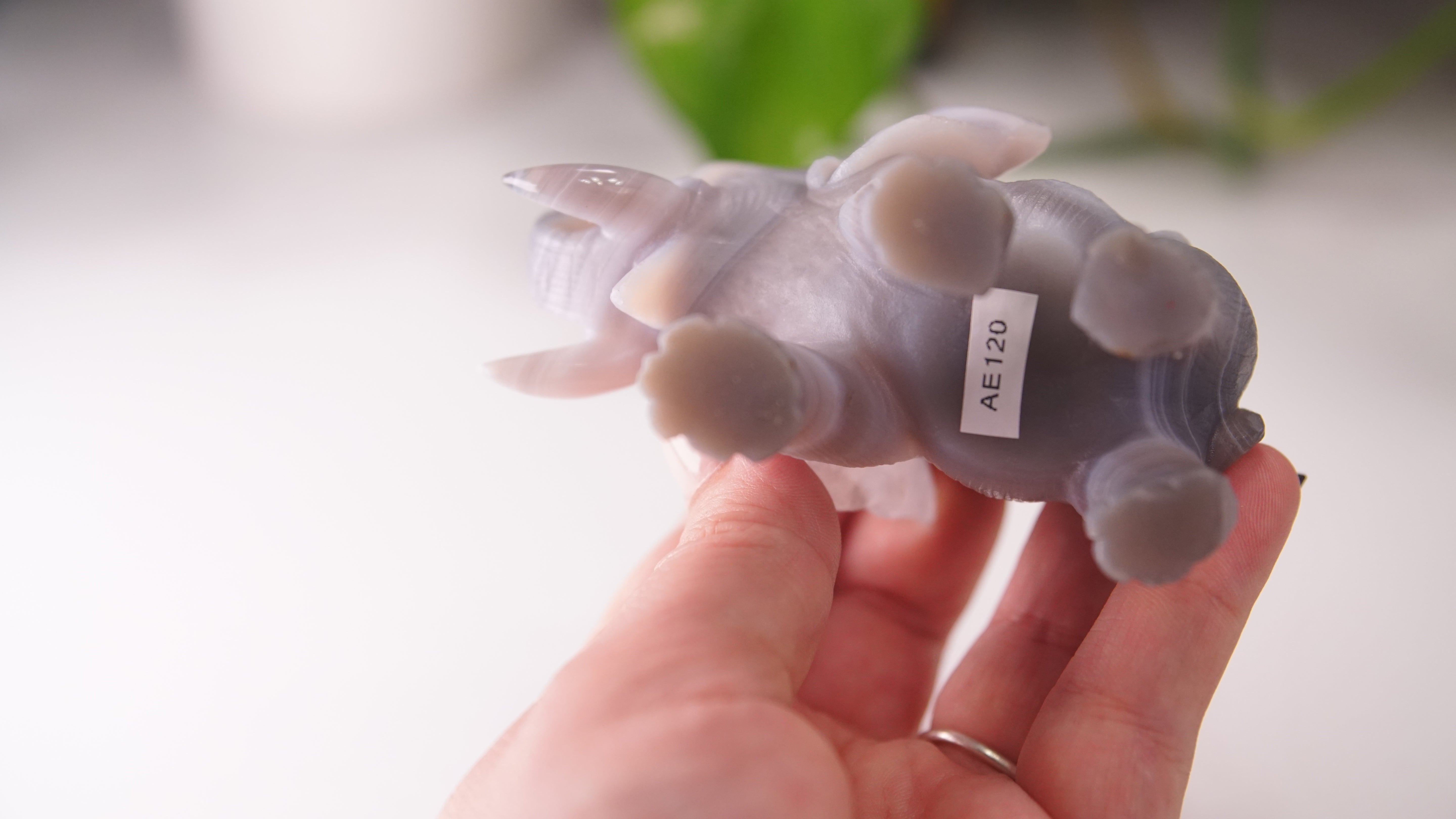 Cute Agate Boutique Elephant Carving | Crystal Carving Statement Piece