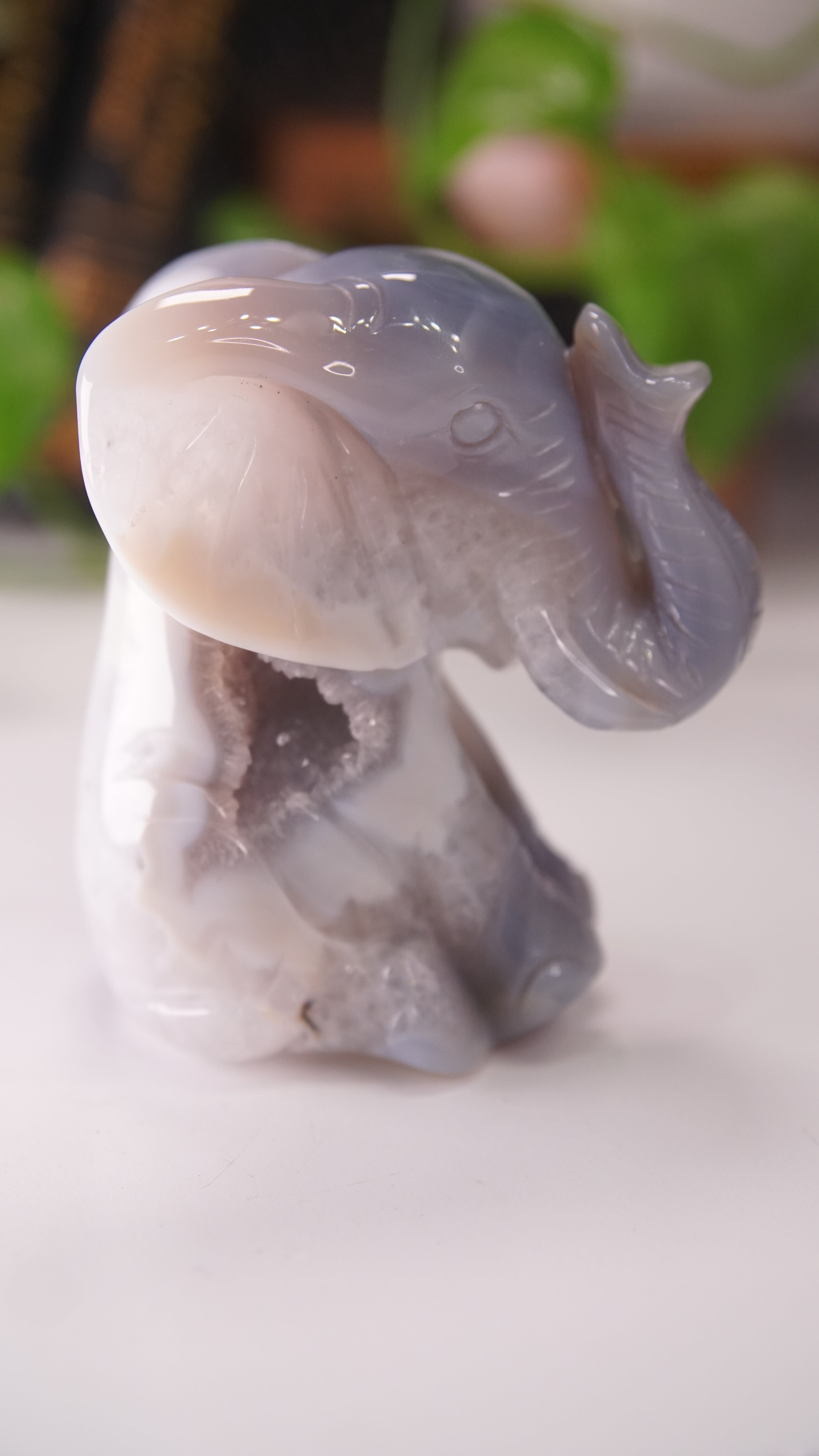 Agate Boutique Sitting Elephant Carving | Crystal Carving Statement Piece