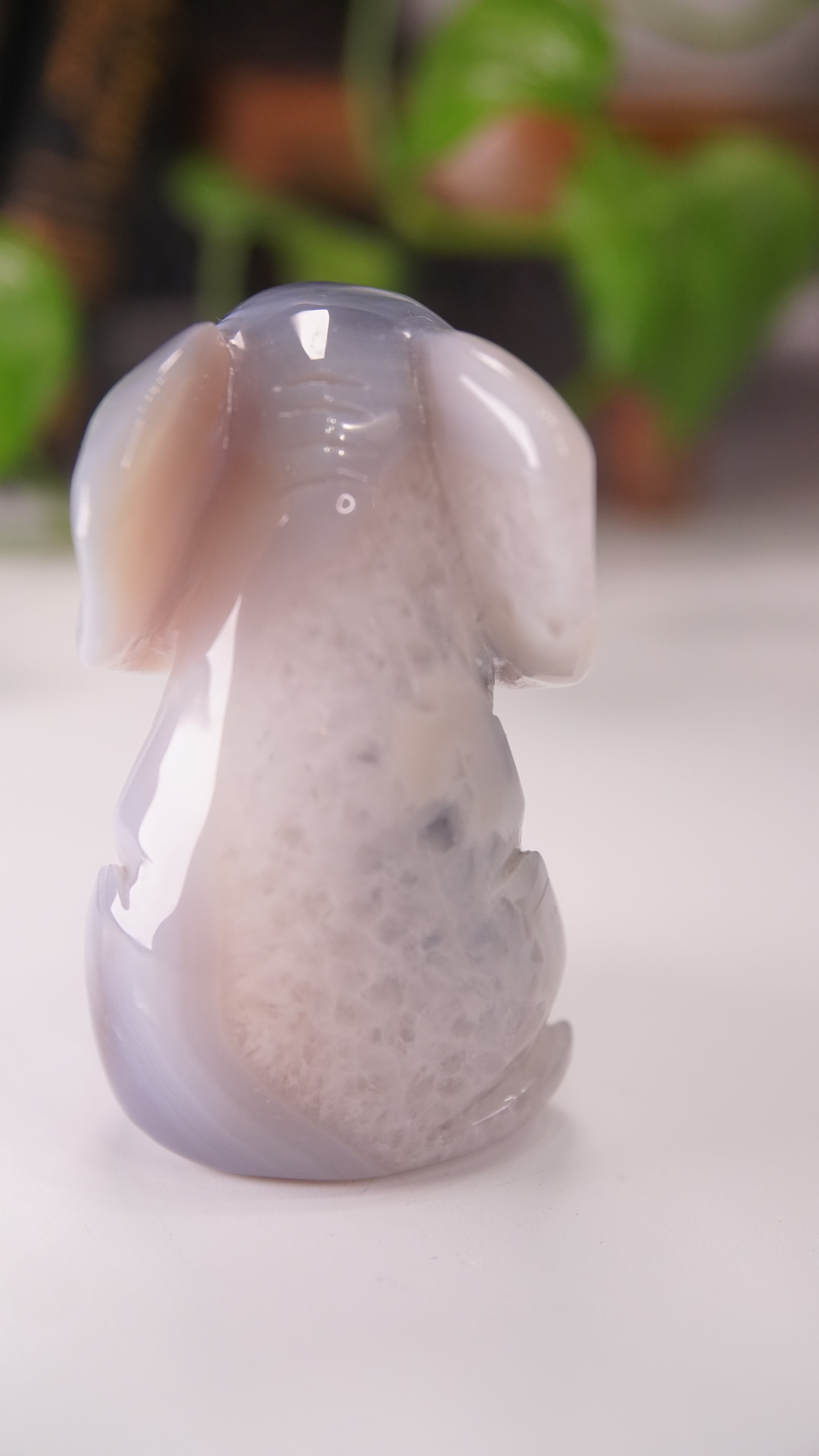 Agate Boutique Sitting Elephant Carving | Crystal Carving Statement Piece