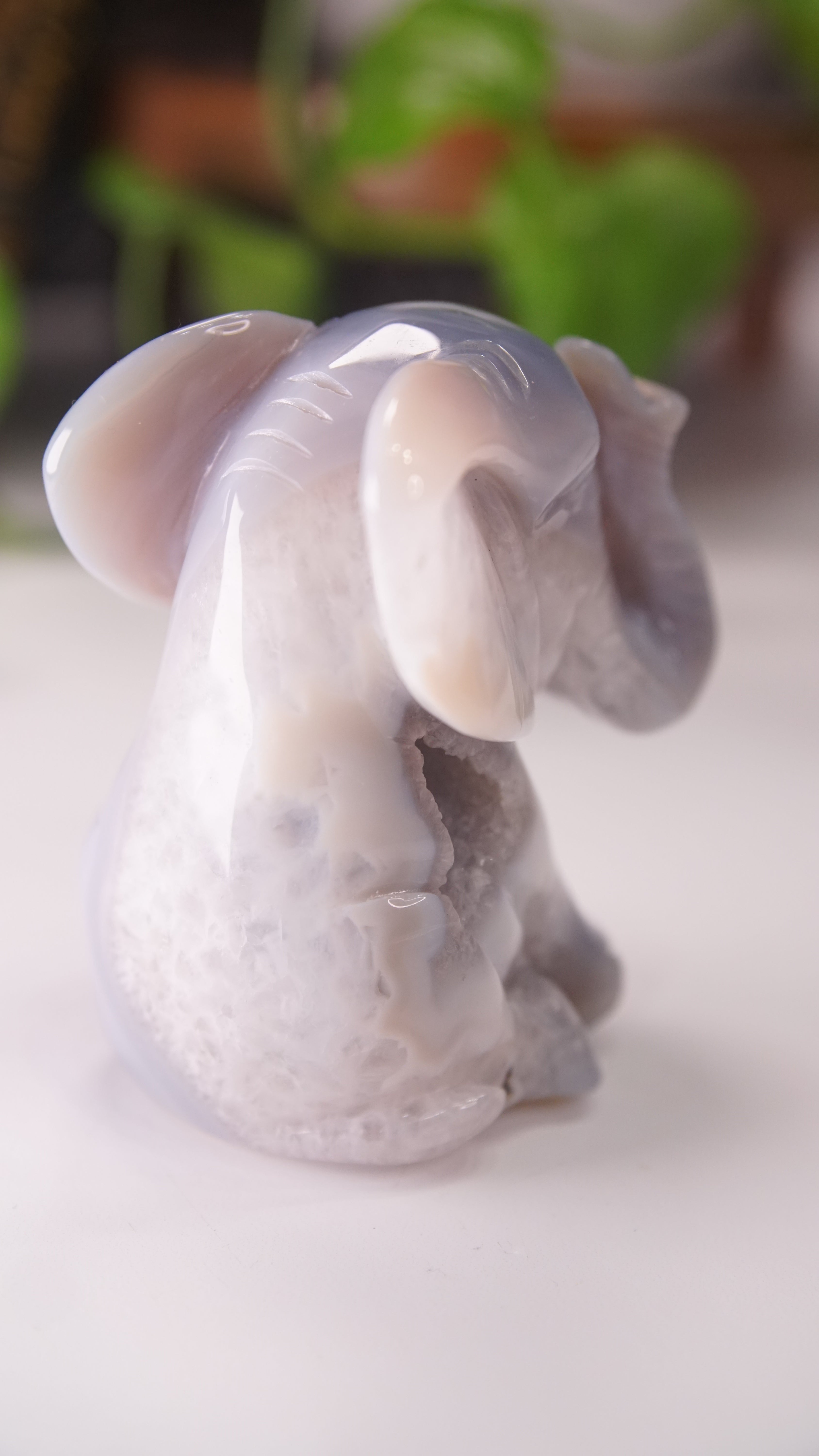 Agate Boutique Sitting Elephant Carving | Crystal Carving Statement Piece