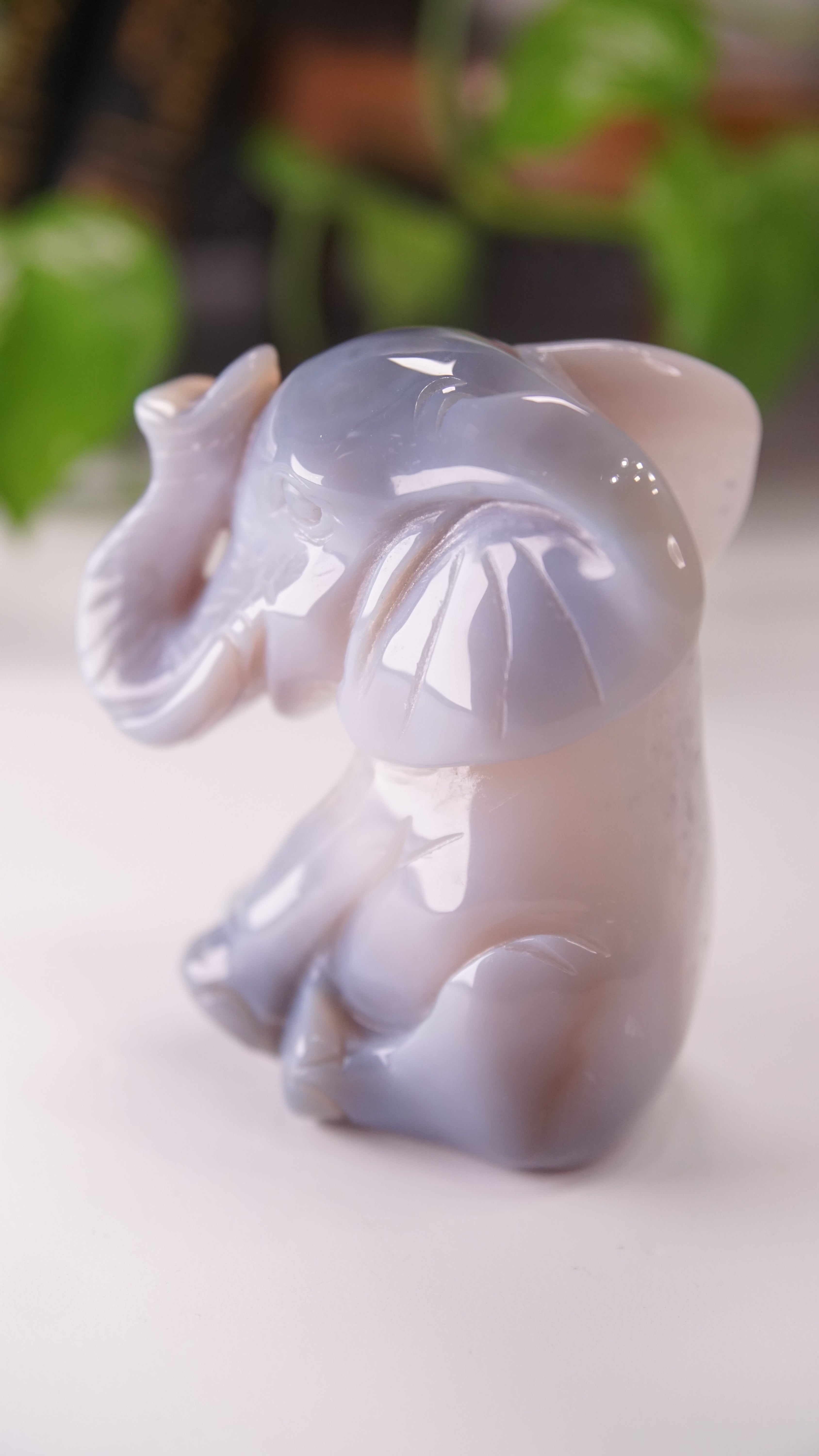 Agate Boutique Sitting Elephant Carving | Crystal Carving Statement Piece